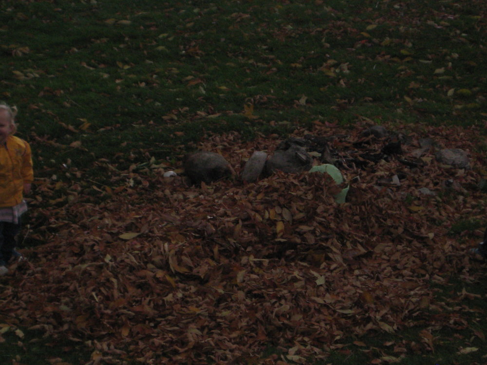 Nikon D3100. Honestly, what was I trying to do here?!
