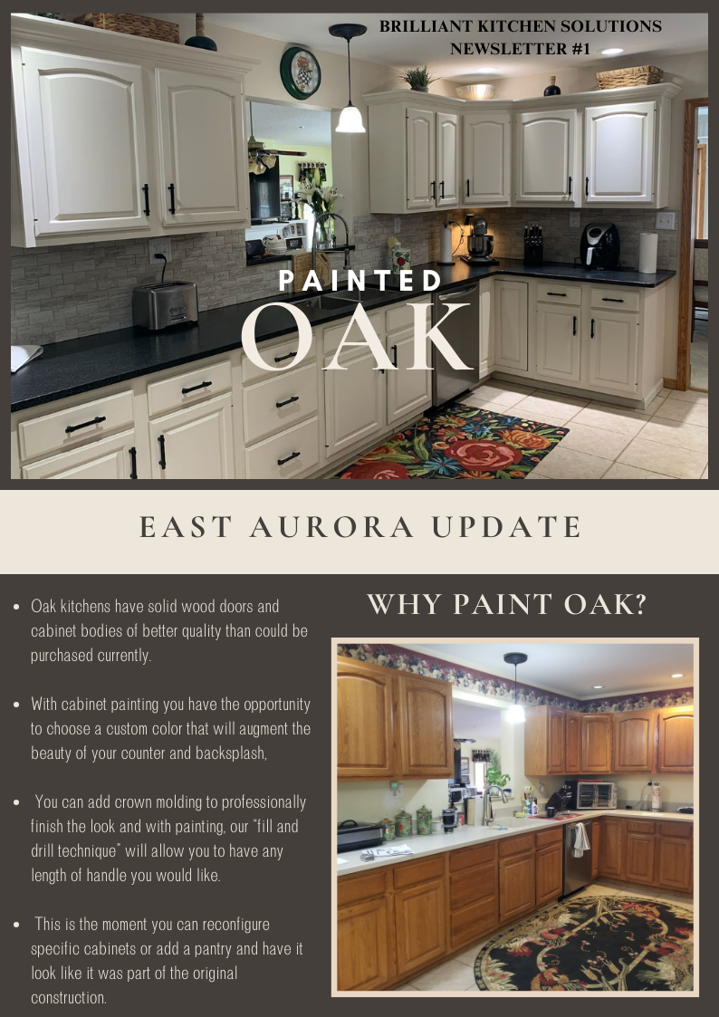 Brilliant Kitchen Solutions, Painted Oak in East Aurora Updated Kitchen Cabinets - Newsletter # 1
