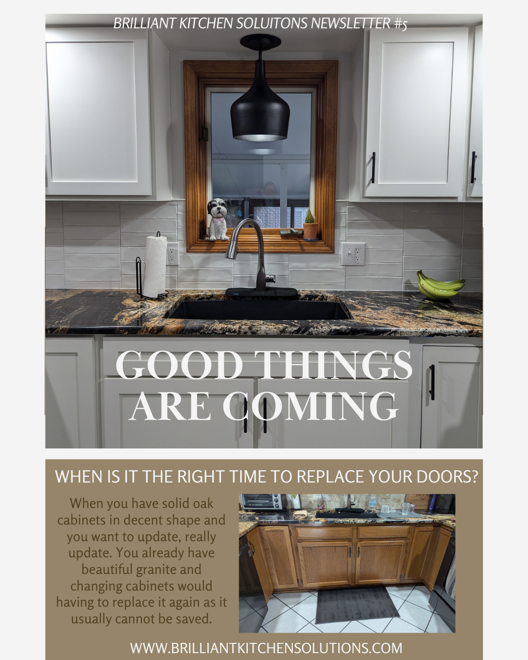 Newsletter #5 Oak Cabinet Update - Brilliant Kitchen Solutions Buffalo, NY 