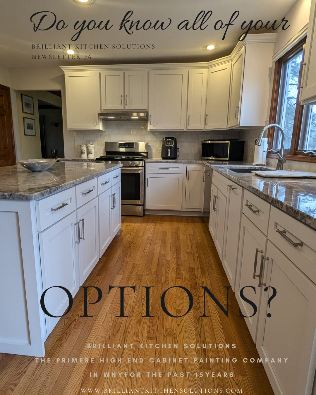 Newsletter #6 - Do you know all of your options when it comes to cabinet replacement? Brilliant Kitchen Solutions Buffalo, NY