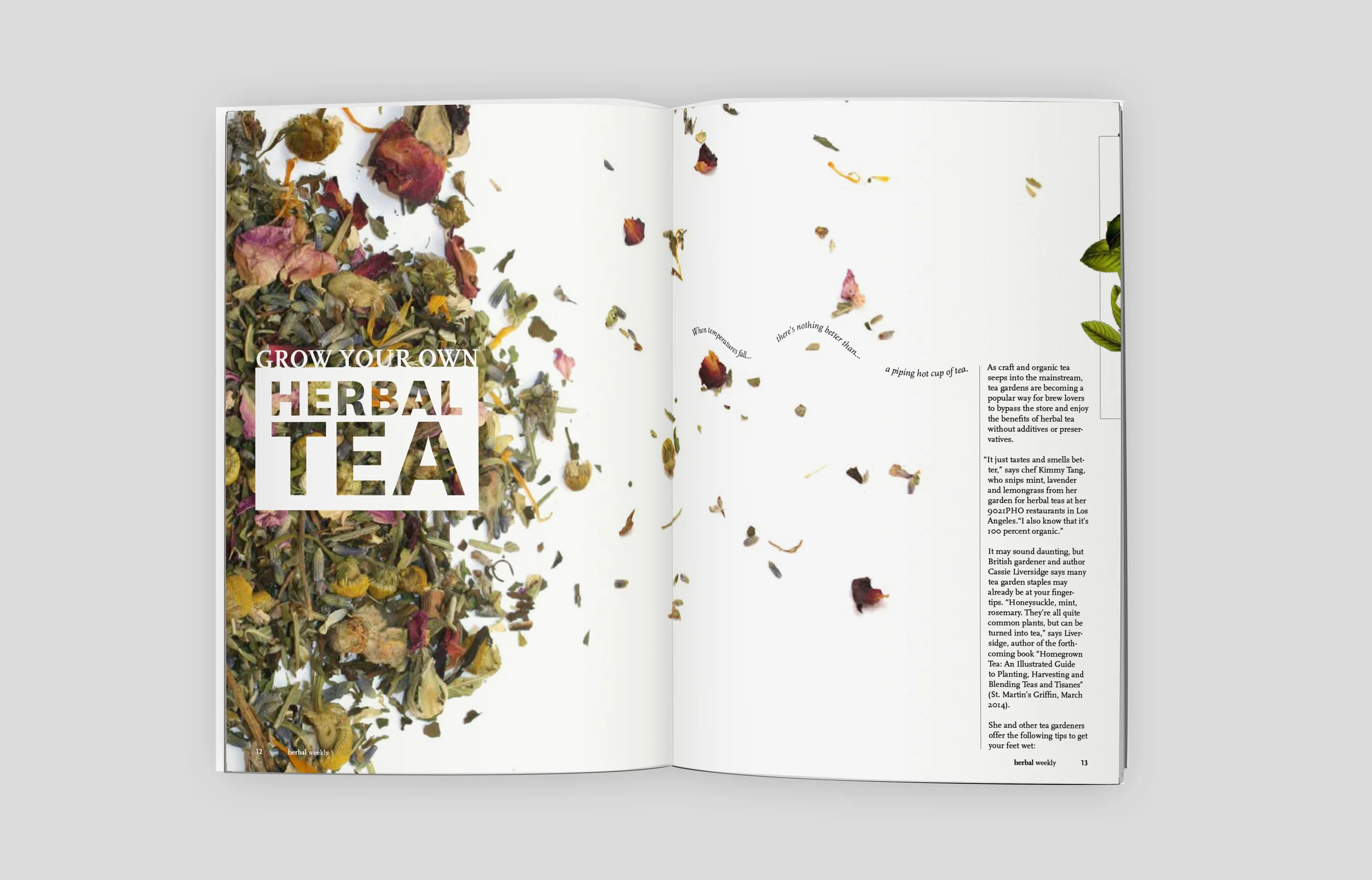 opener-mock-up with grey.2.jpg