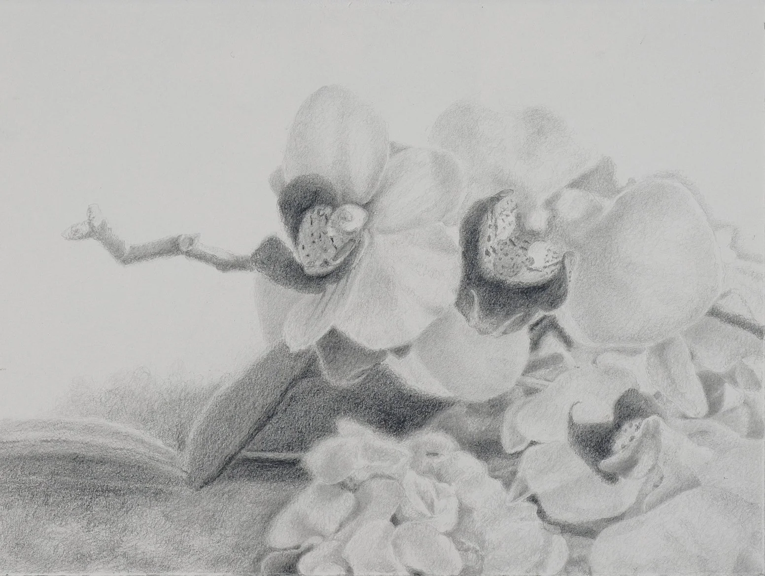 Mark Leibert Art2159_Web_cropped.jpg