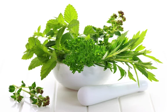 herbs (1).jpg