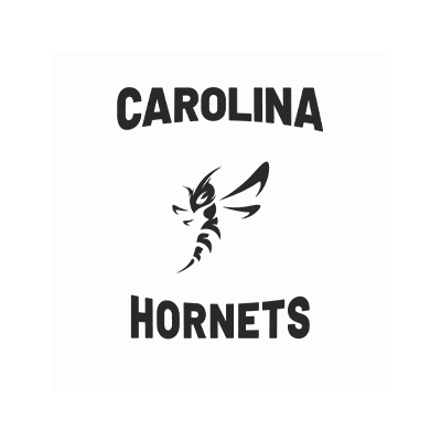 carolina hornets.png