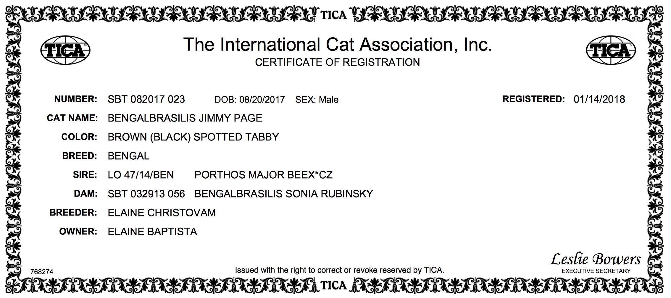 CERTIFICATE OF REGISTRATION Jimmy Page CAROLINA.jpeg