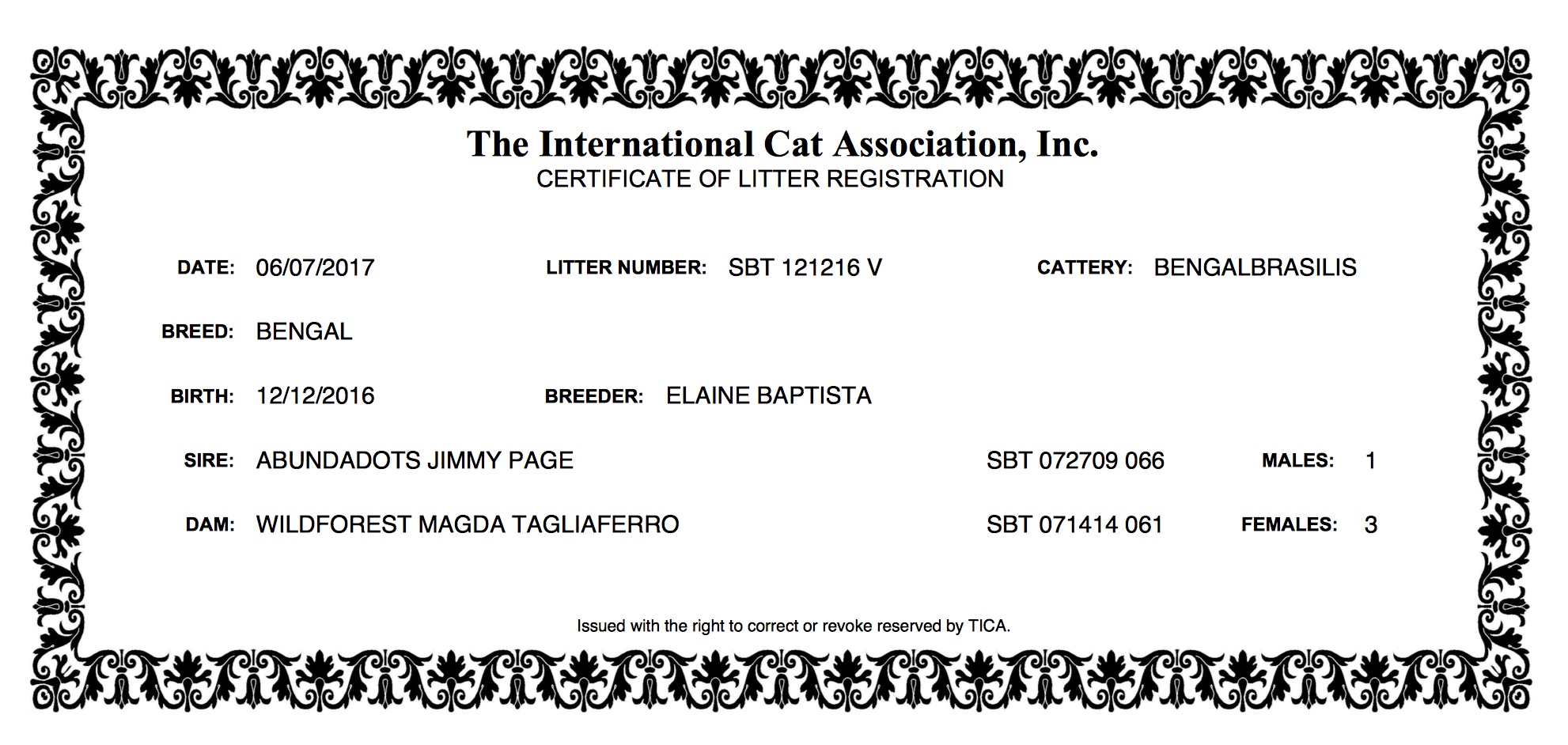 LITTER CERTIFICATE 12.12.16 - Magda.jpeg