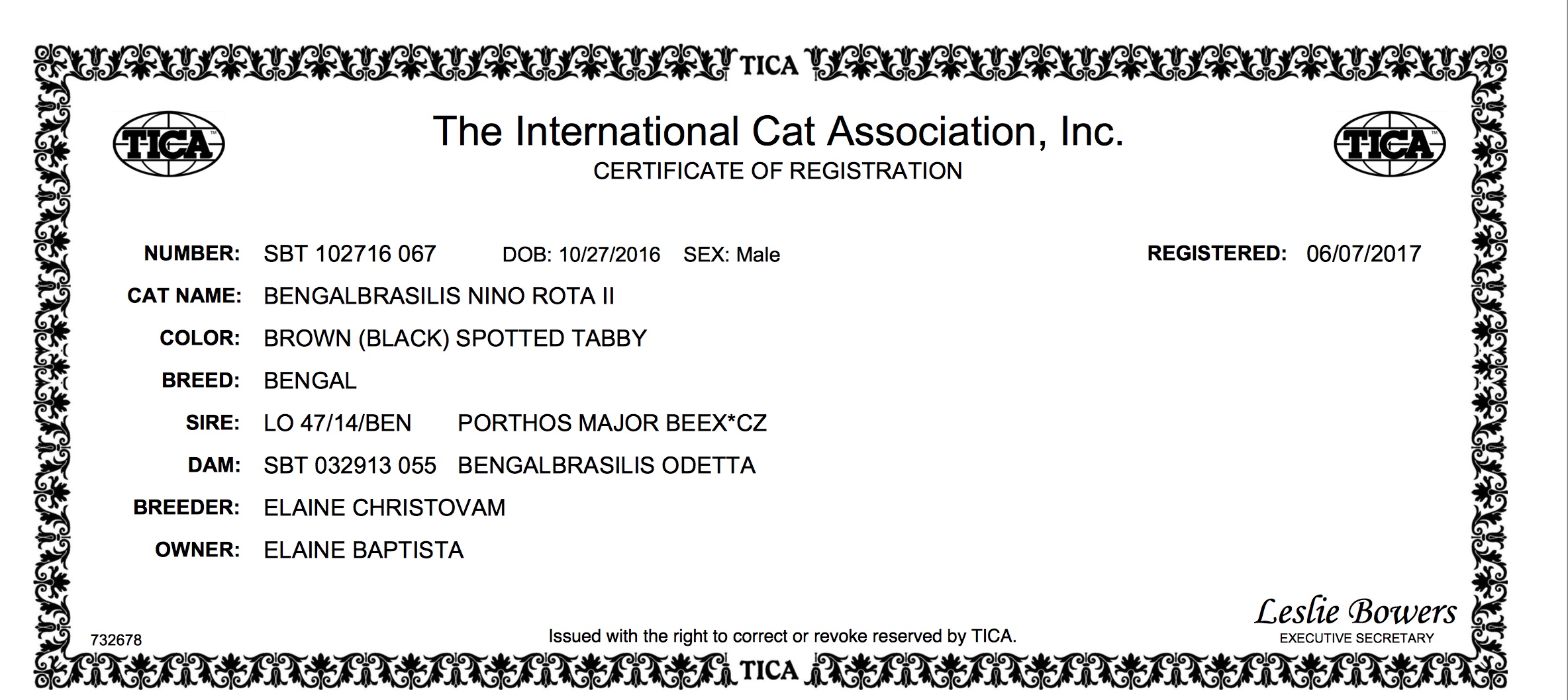 CERTIFICATE OF REGISTRATION Macho Odetta.jpeg