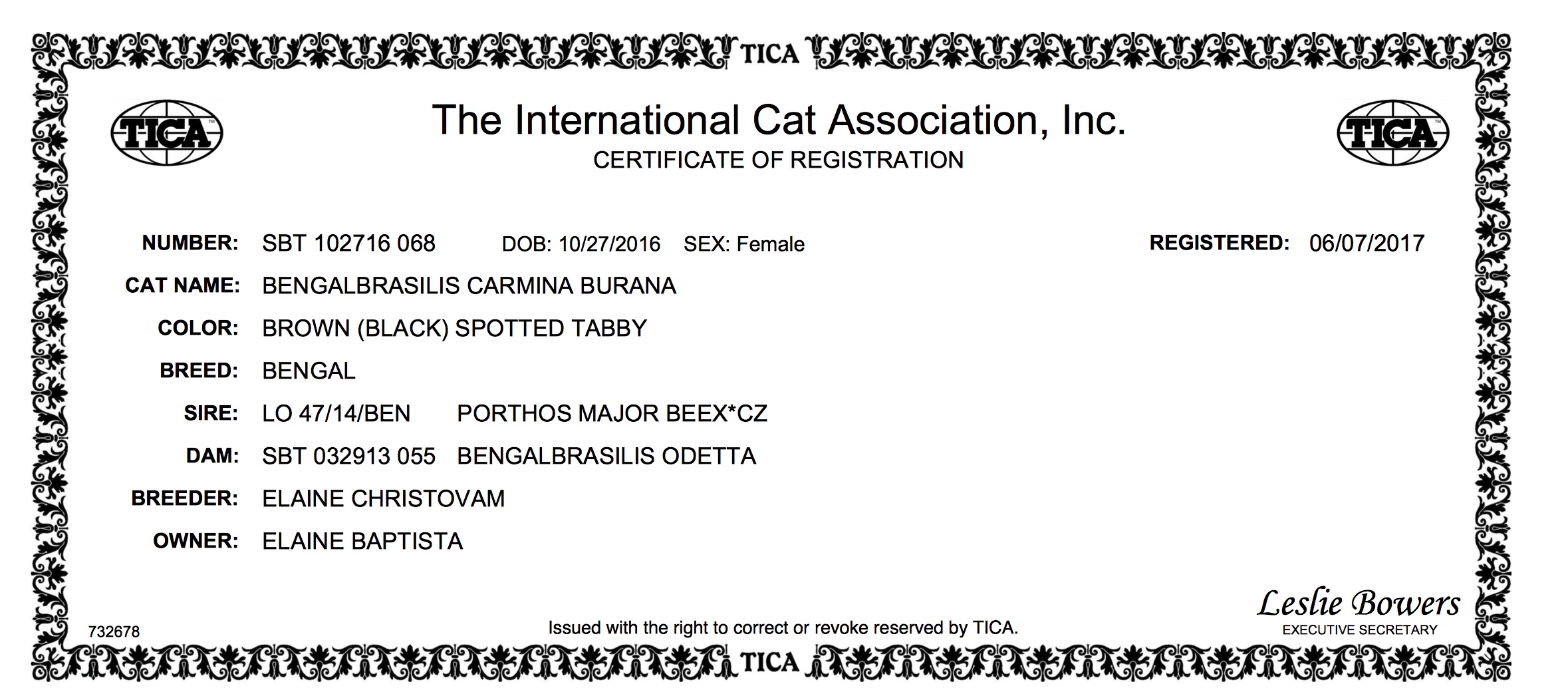 CERTIFICATE OF REGISTRATION Femea Odeta.jpeg