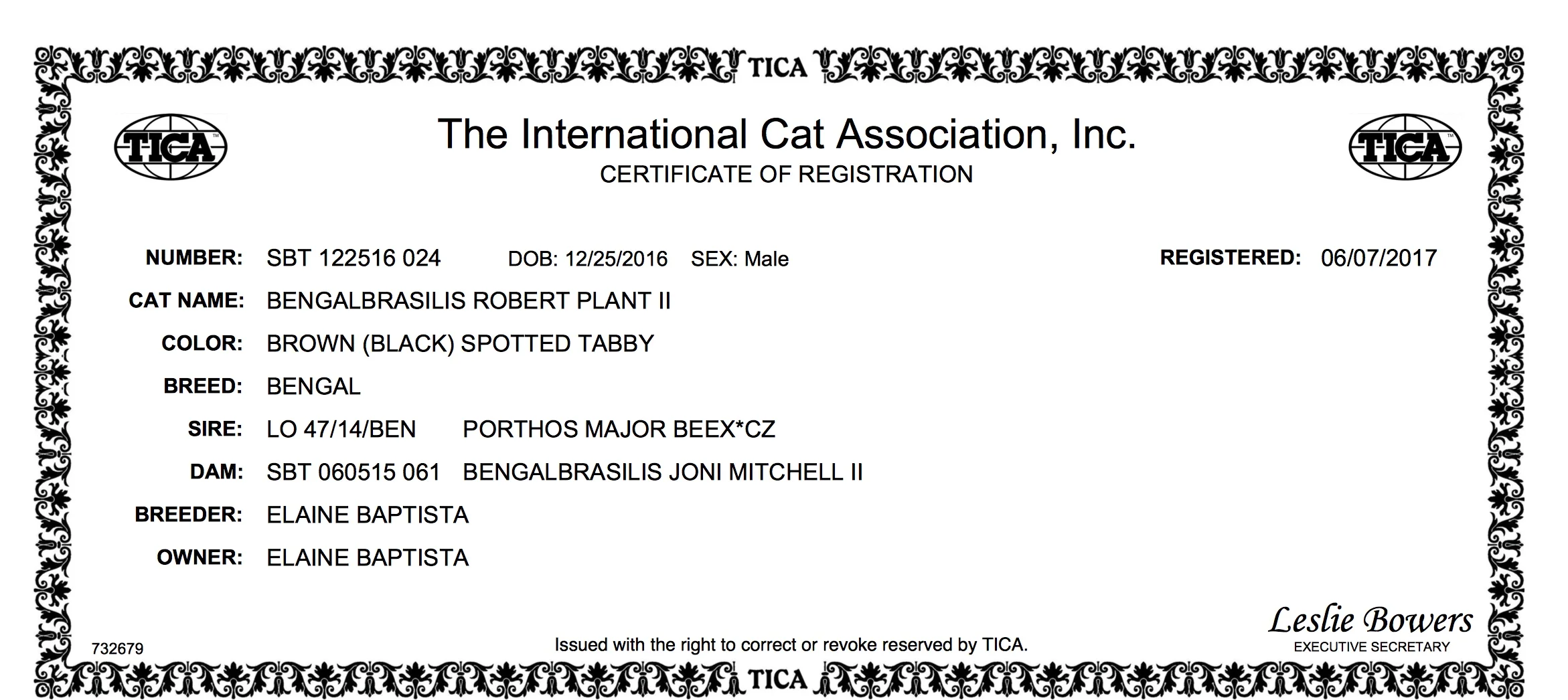 CERTIFICATE OF REGISTRATION Robert II.jpeg