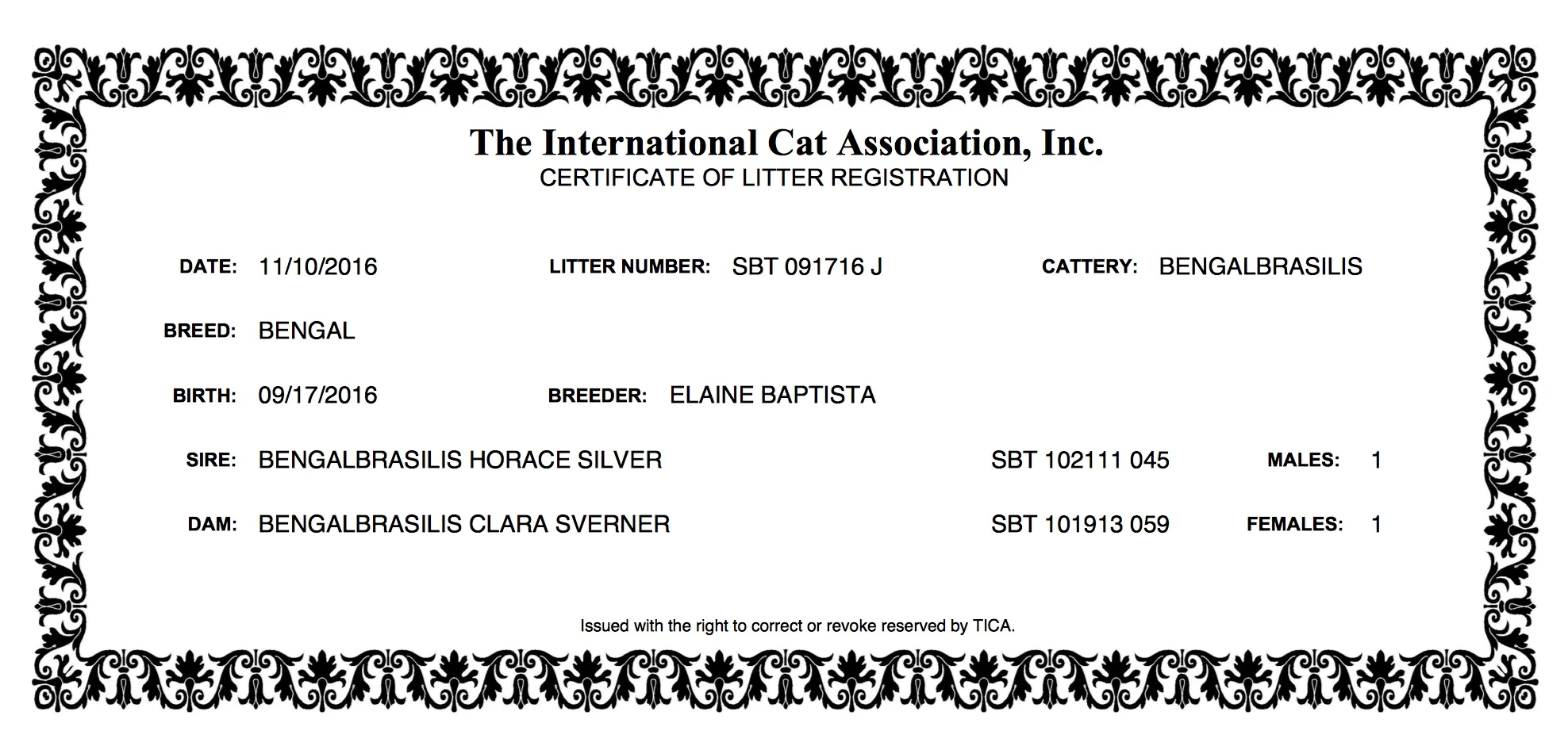 LITTER CERTIFICATE 09.17.16 Clara .jpeg