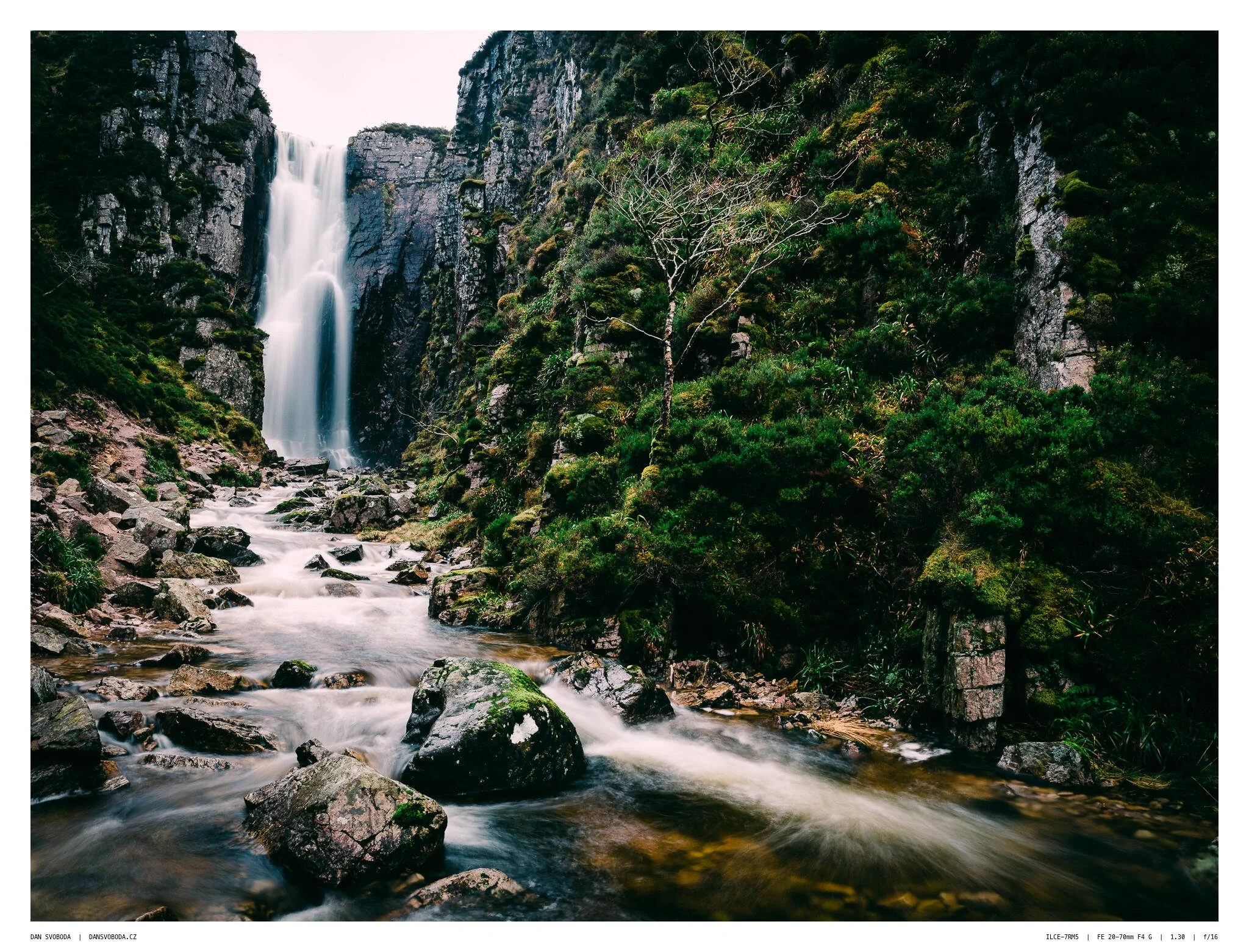 _7R57458White Frame.jpg