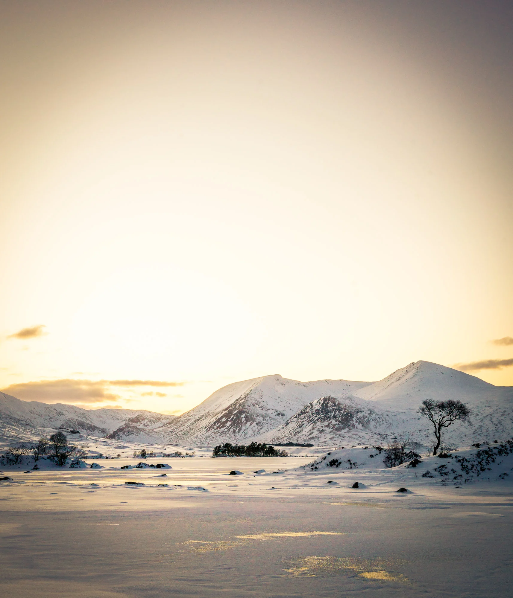 _DSC7687.jpg