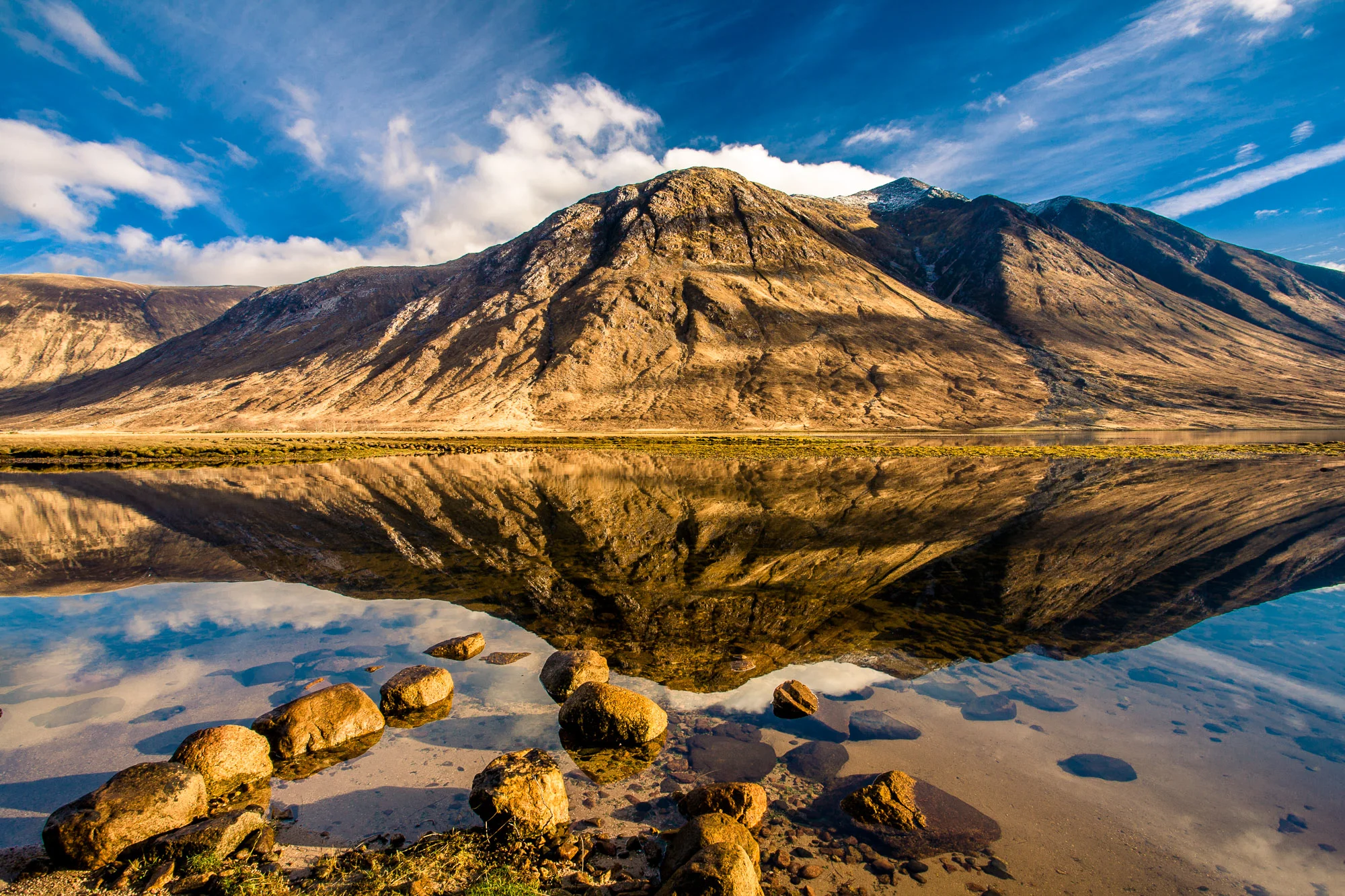 _MG_8479.jpg