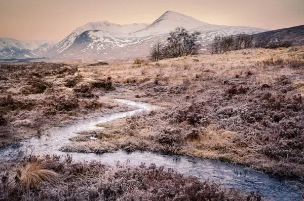Lehce mrazivé ráno na Rannoch Moor, Sony A7R