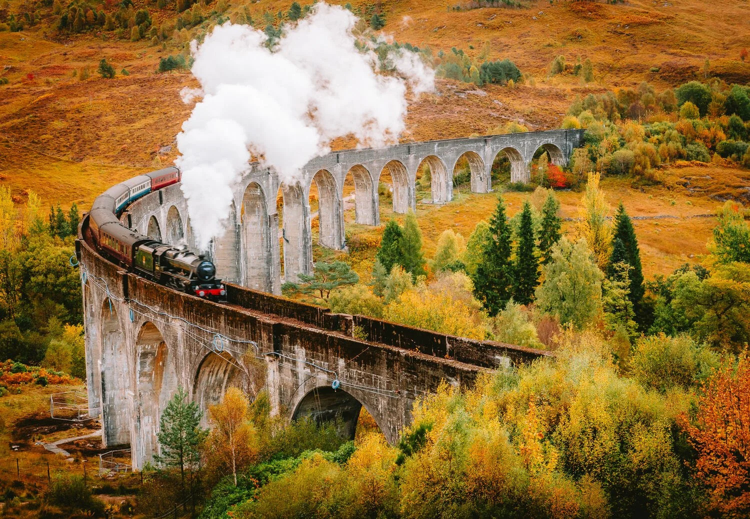 A vintage steam train travelling on a viaduct through a forested landscape during autumn.