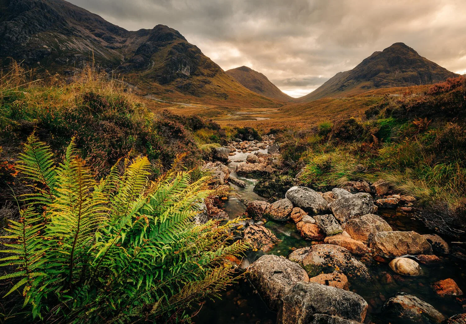 Bauchaille Etive Mòr (Copy)