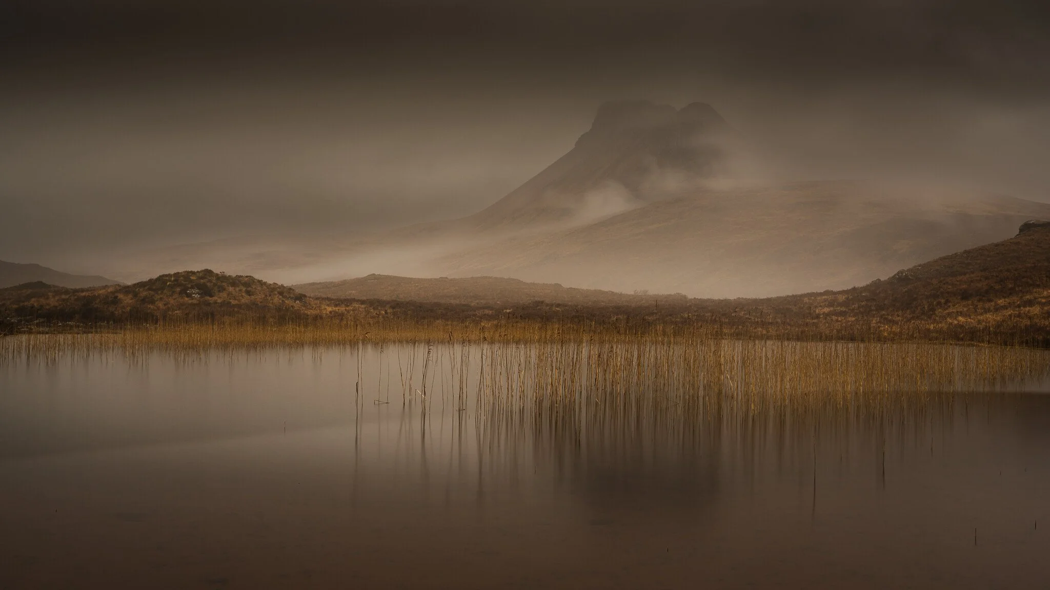 _7R57848White Frame.jpg