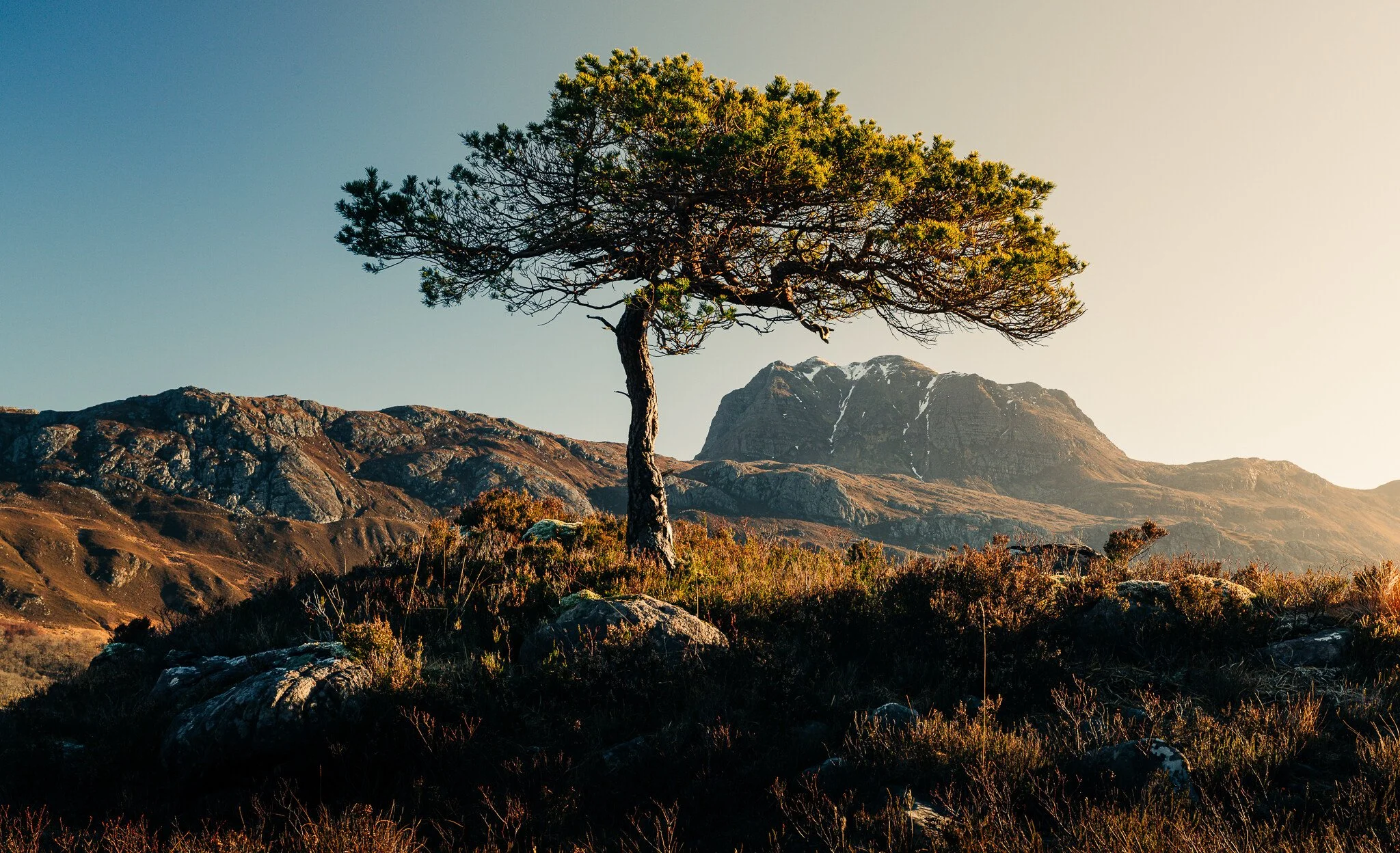 _7R58337White Frame.jpg