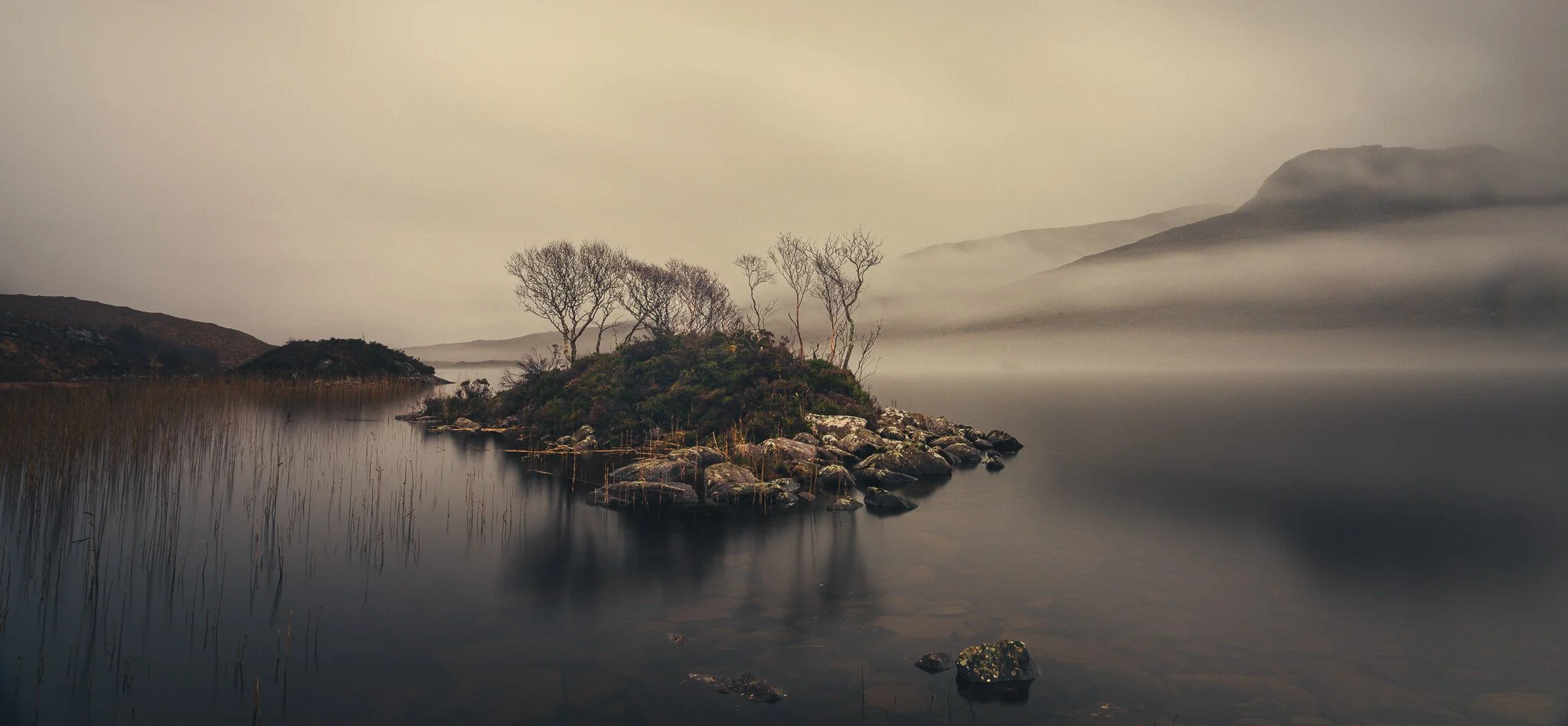 _7R57859White Frame.jpg