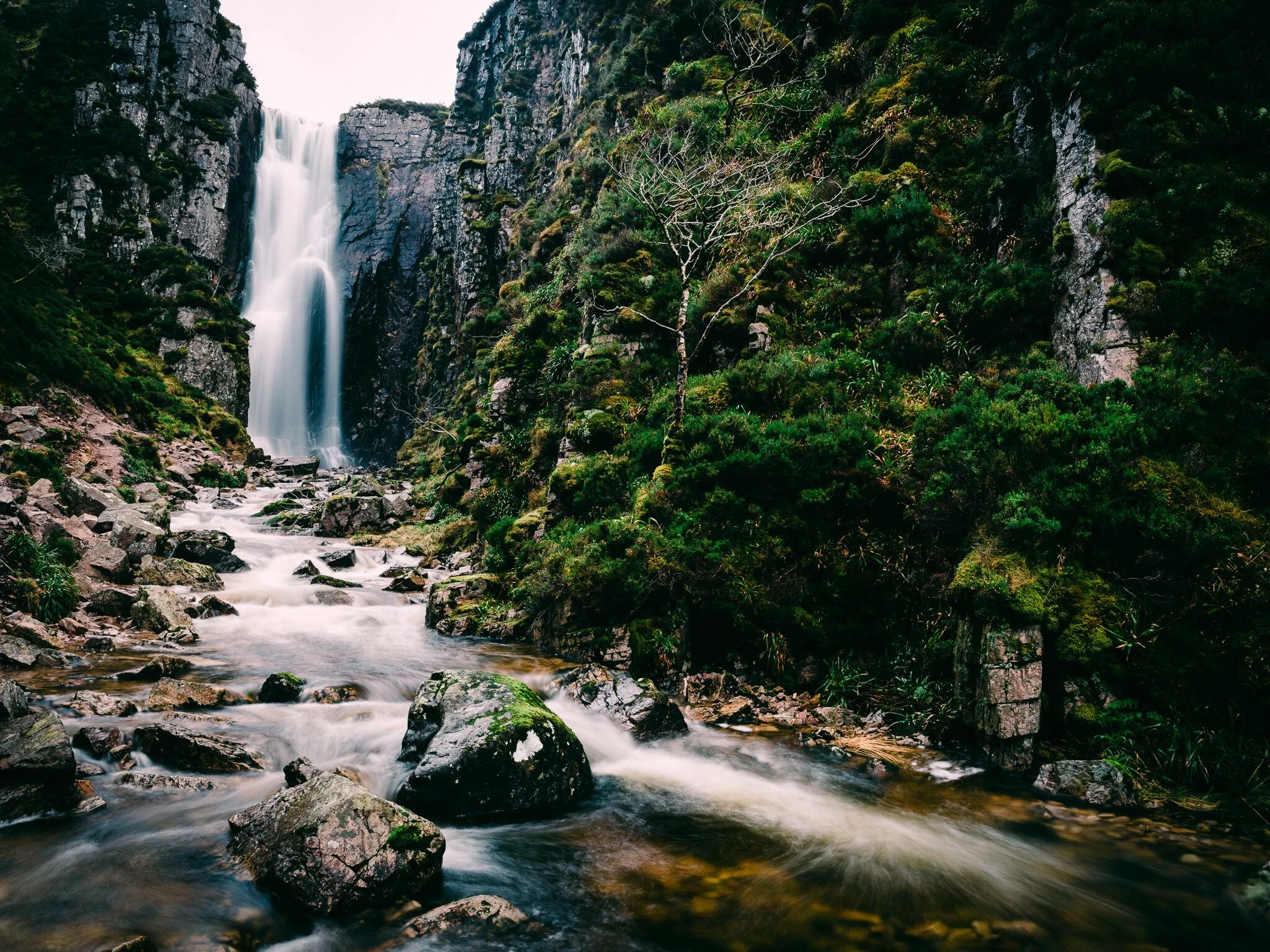 _7R57458White Frame.jpg