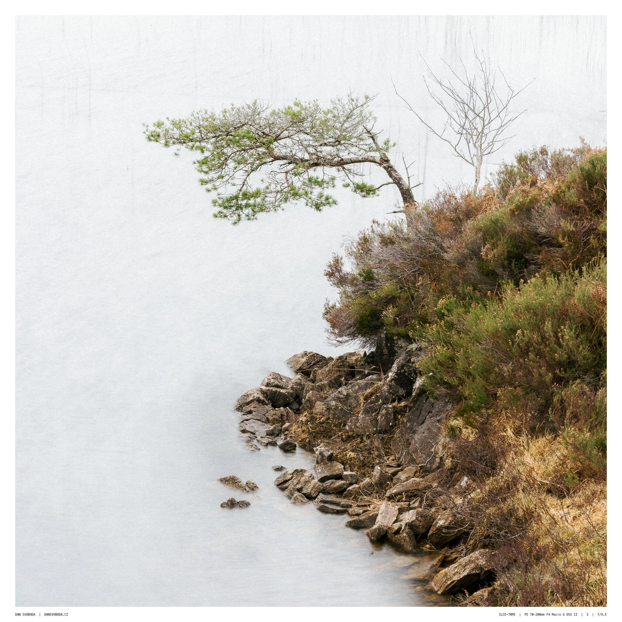 _7R57414White Frame.jpg