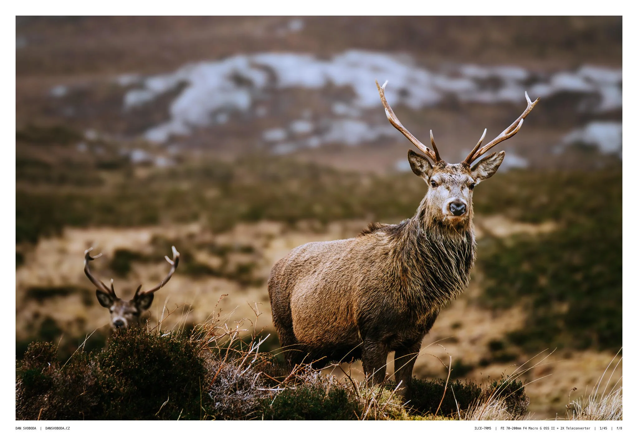 _7R57566White Frame.jpg