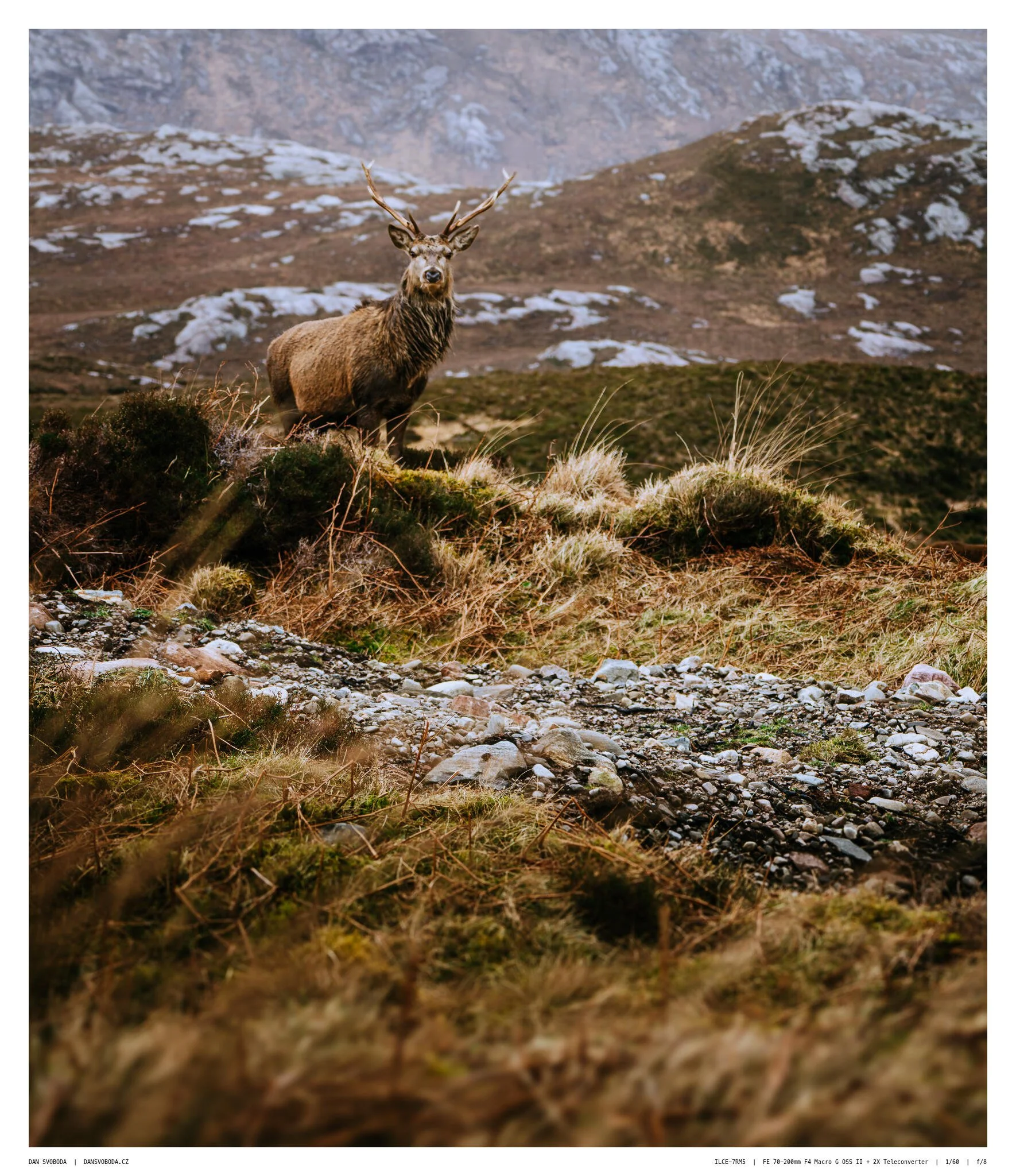 _7R57552White Frame.jpg