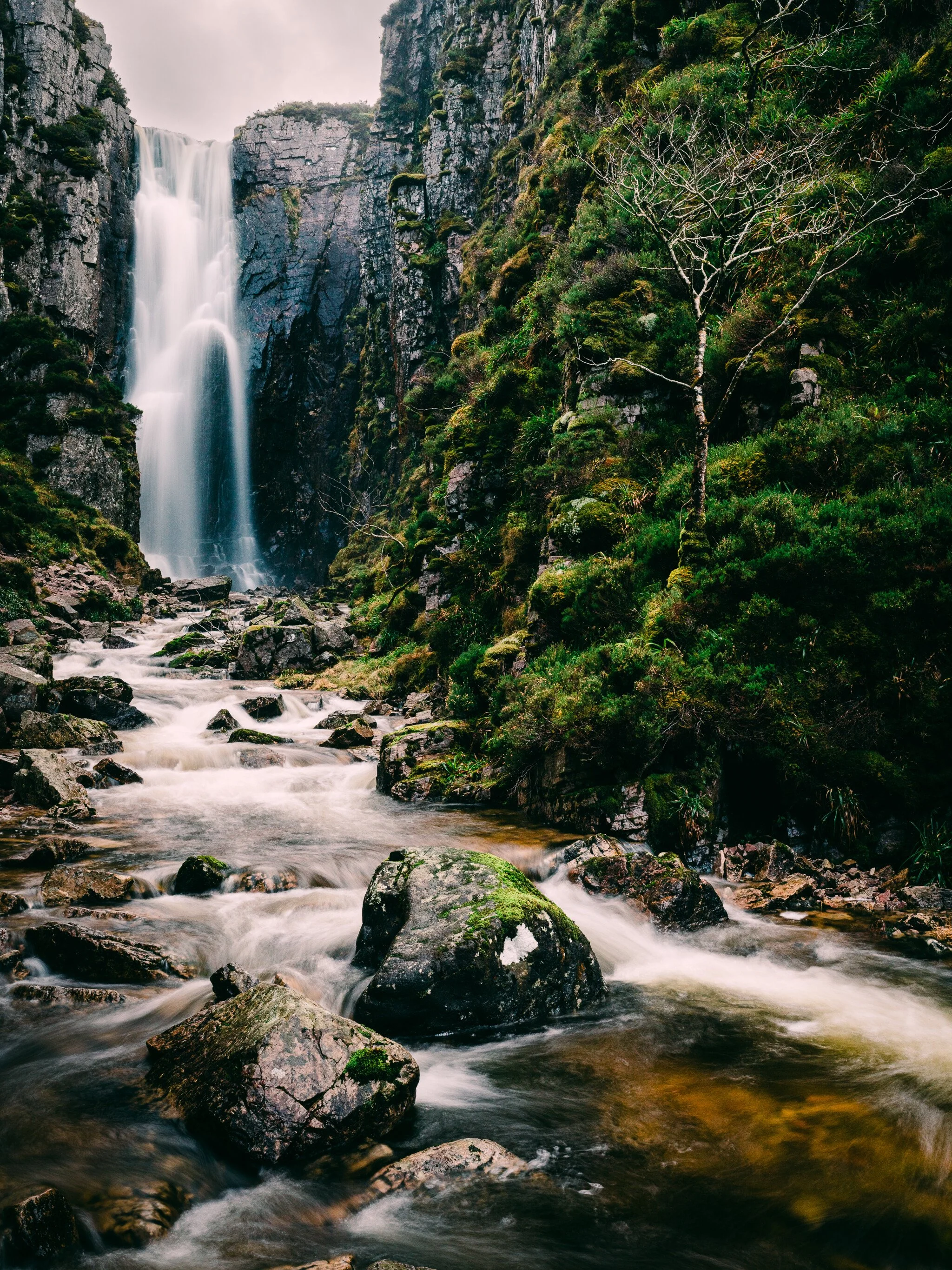 _7R57456White Frame.jpg