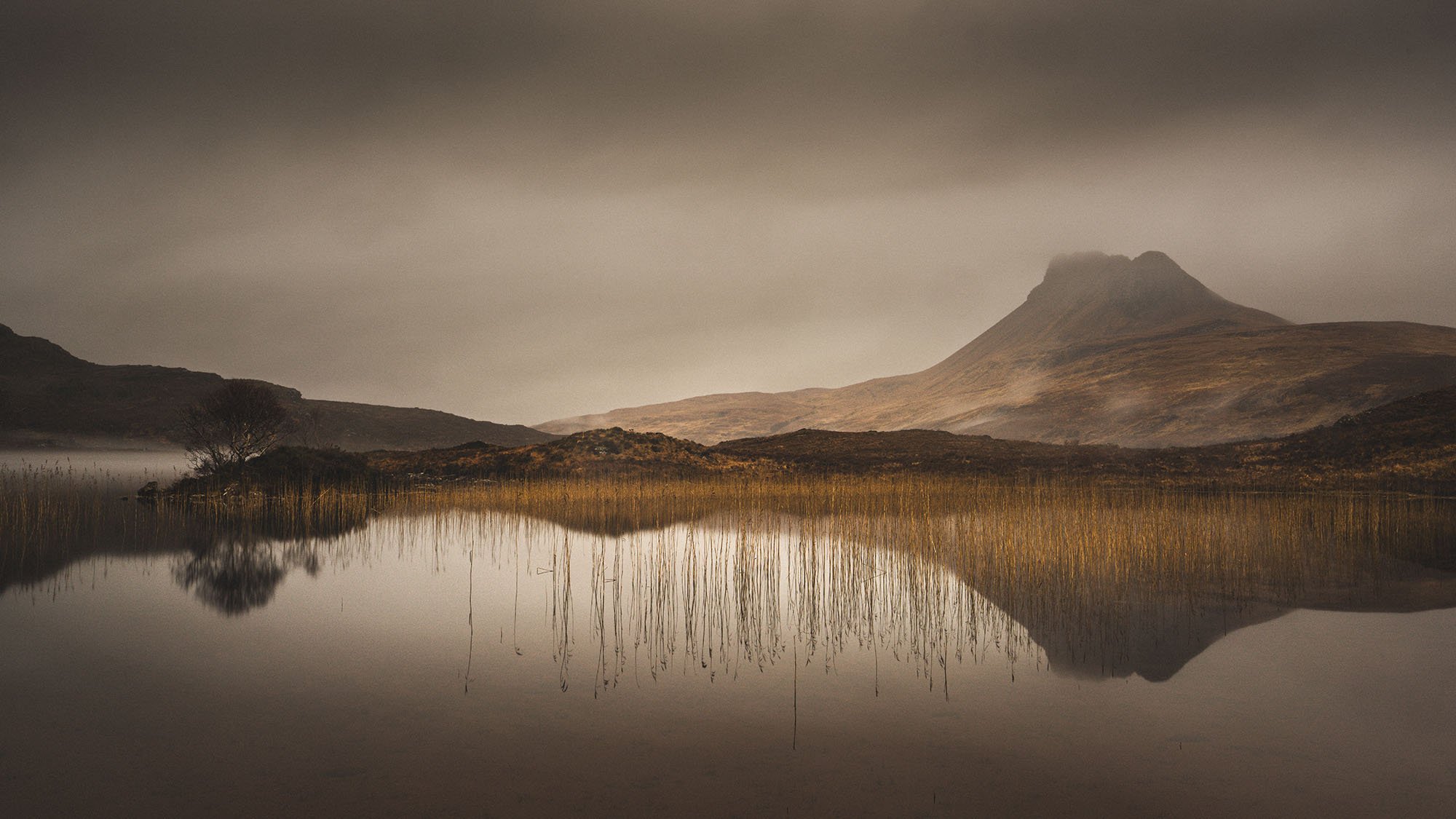 🏴󠁧󠁢󠁳󠁣󠁴󠁿 | Stack Pollaidh | Assynt