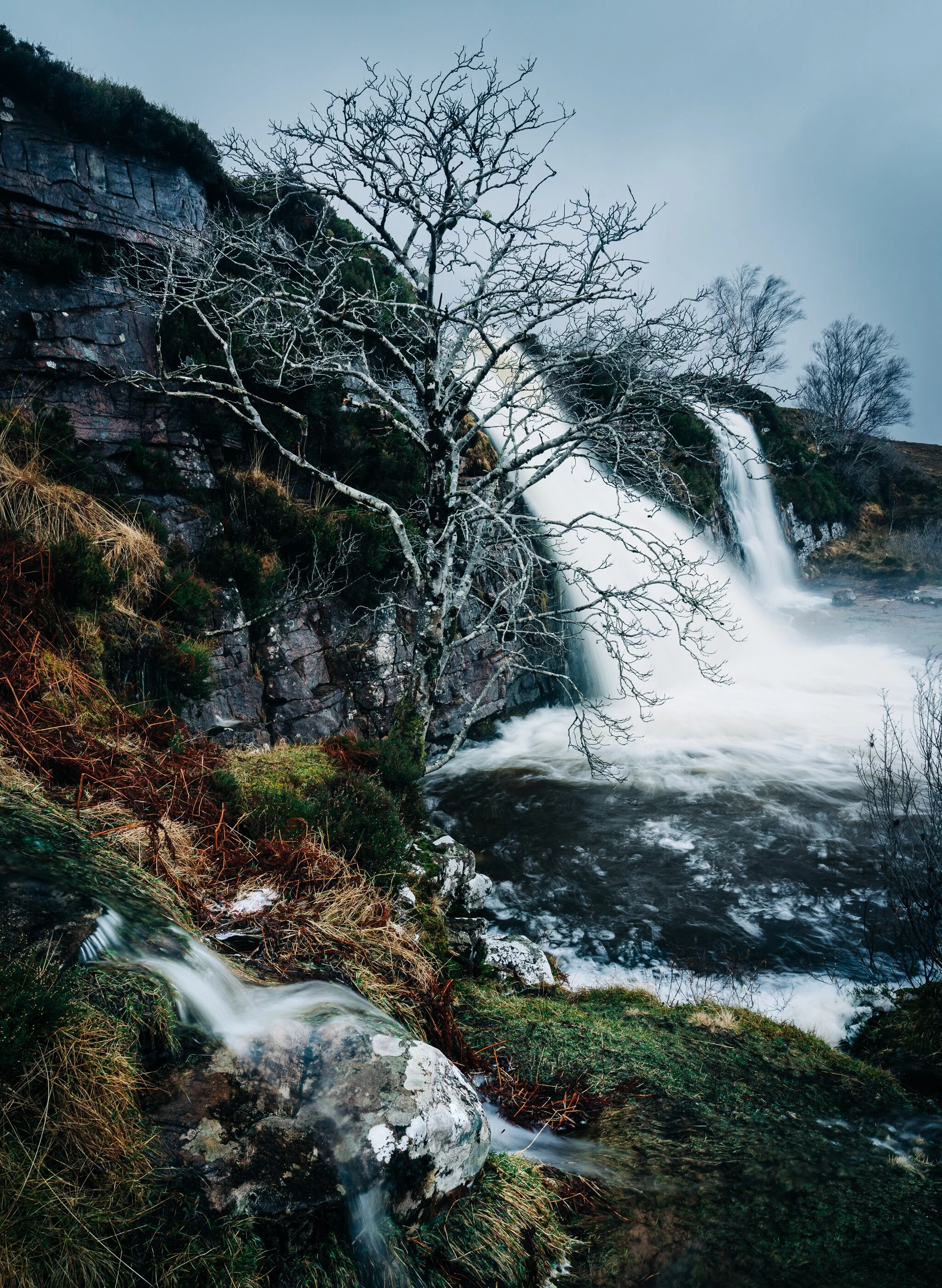 _7R57863White Frame.jpg