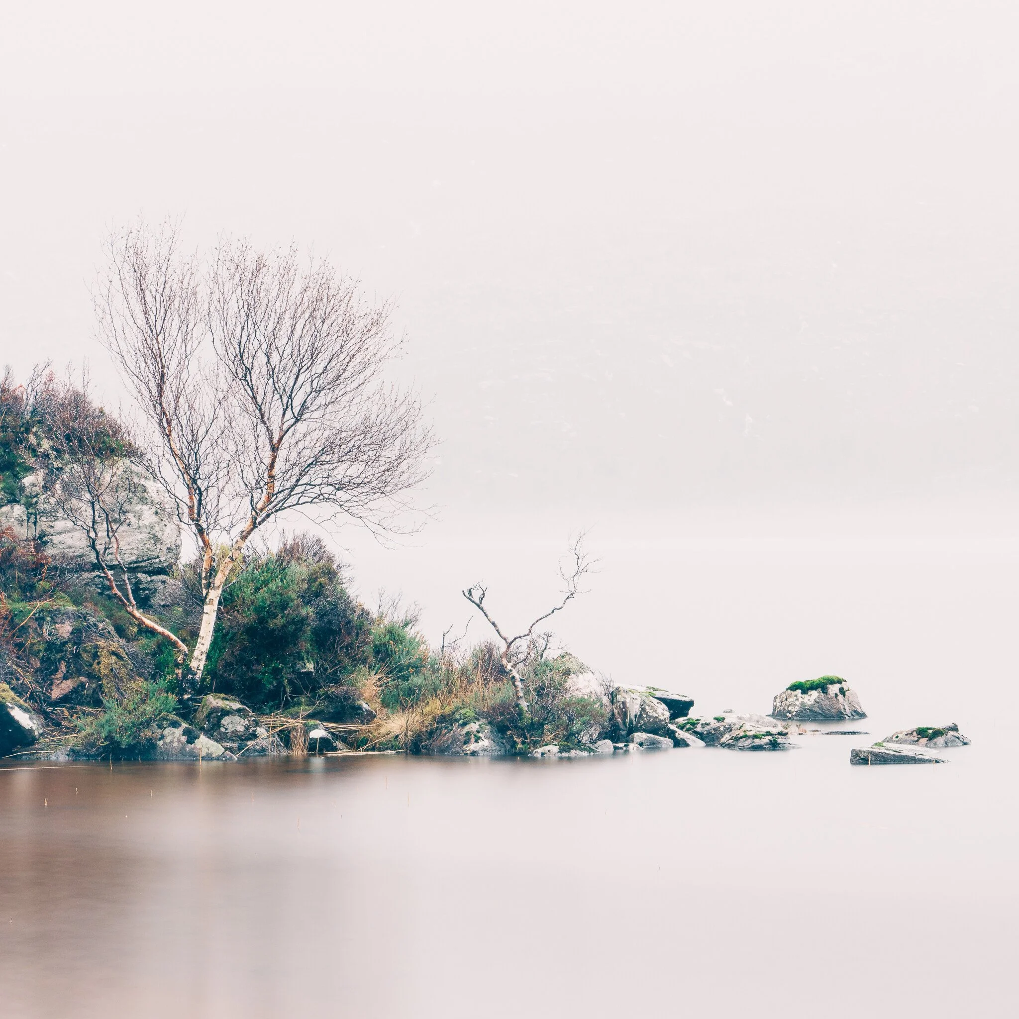 _7R57853White Frame.jpg