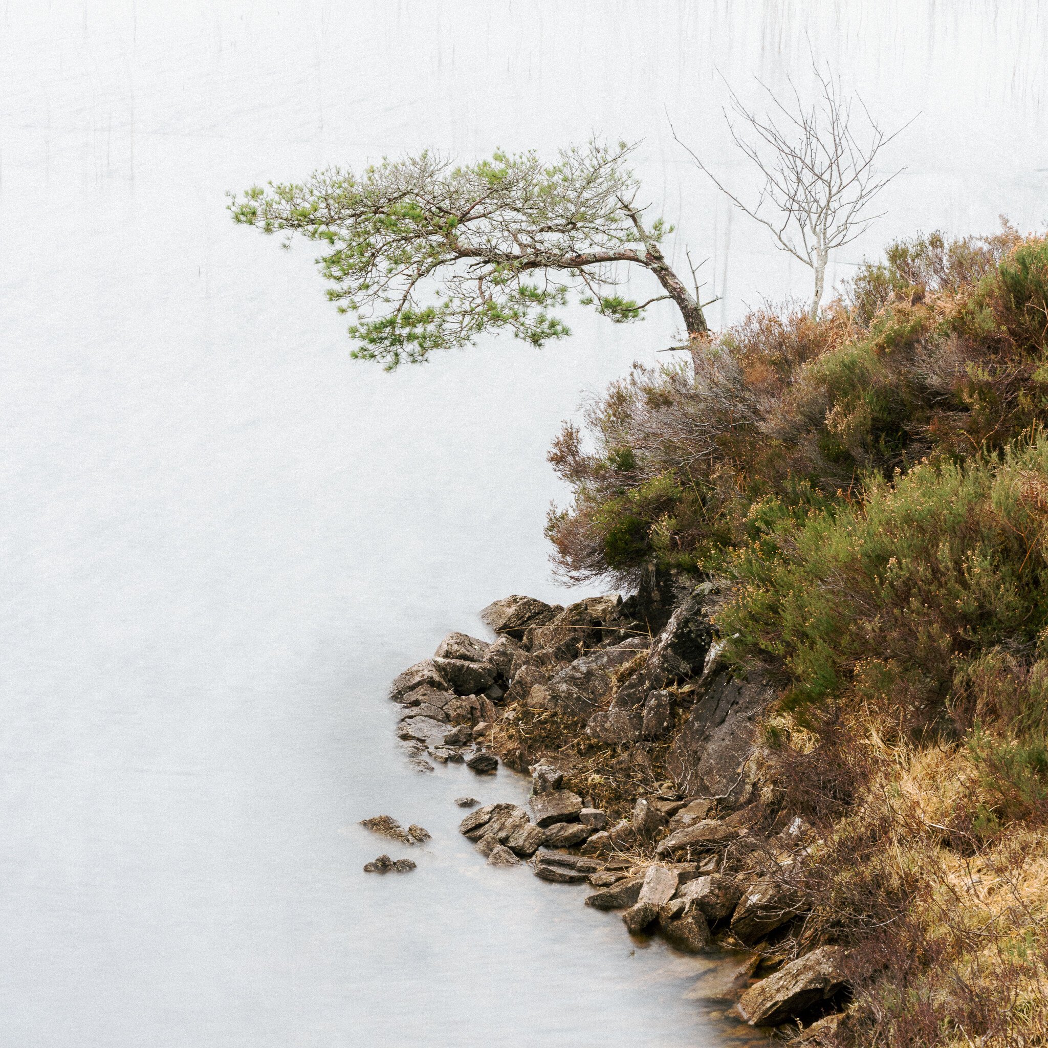 _7R57414White Frame.jpg