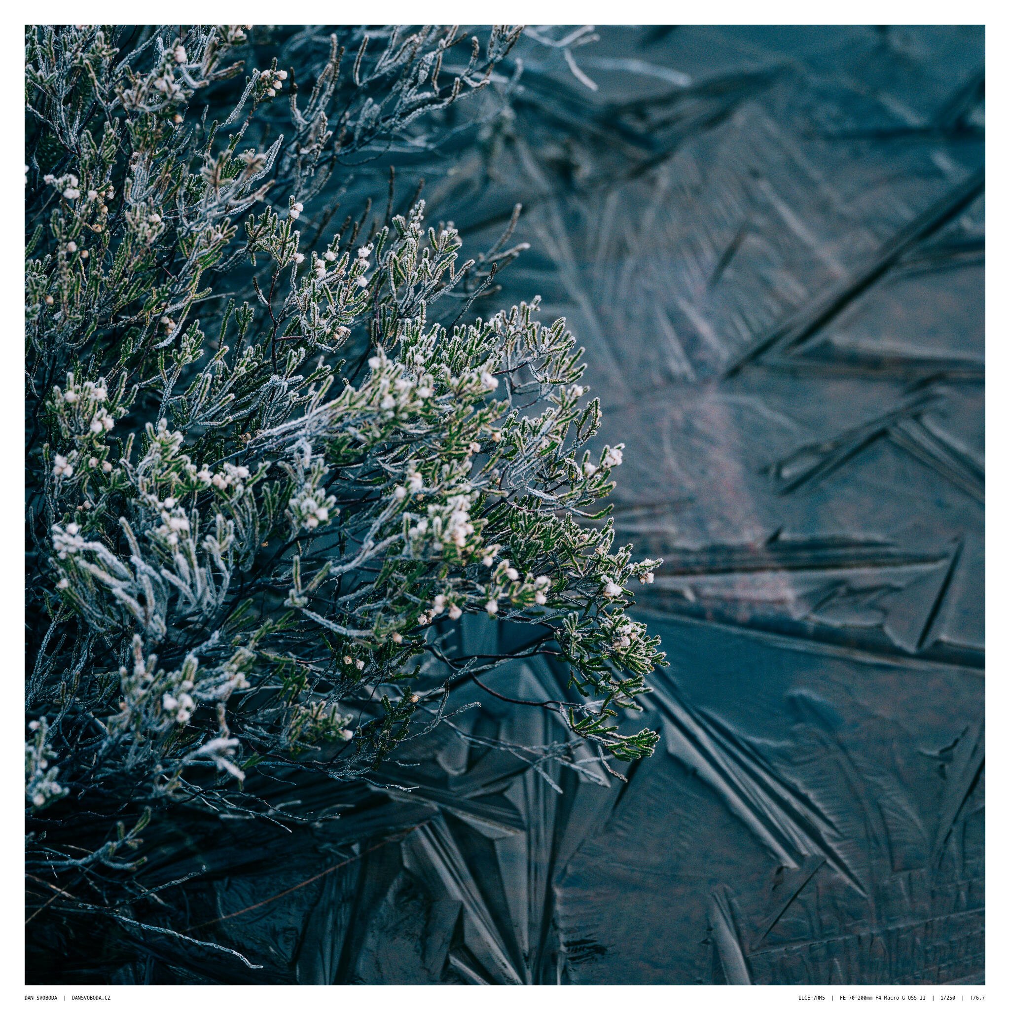 _7R58324White Frame.jpg