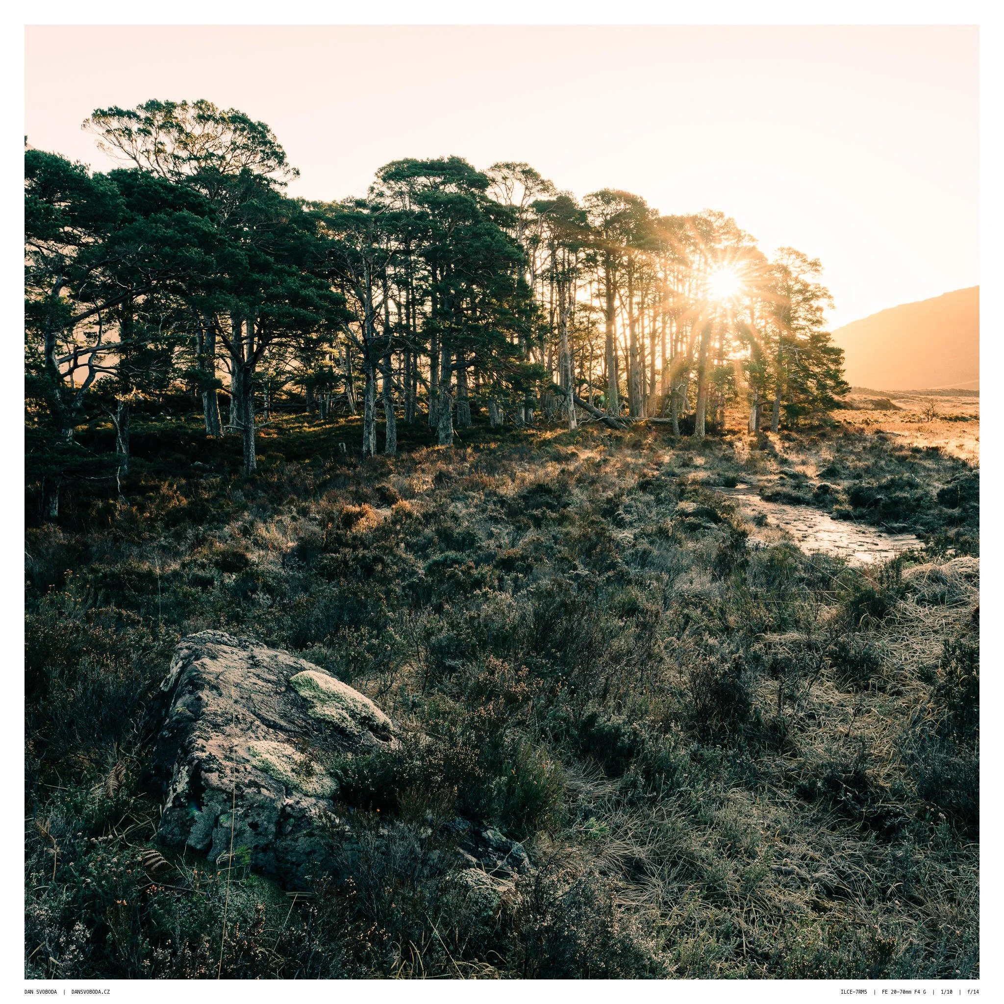 _7R58267White Frame.jpg