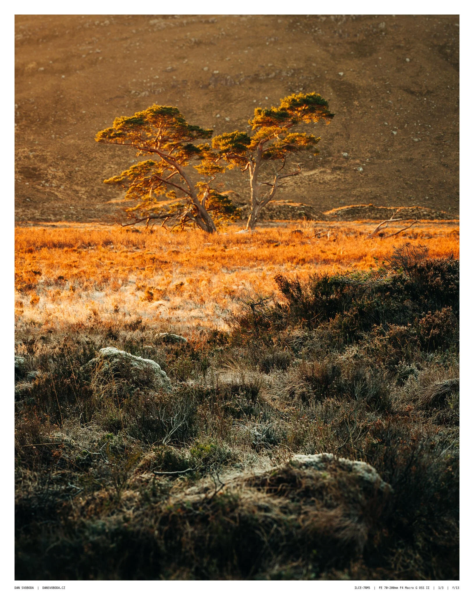 _7R58225White Frame.jpg