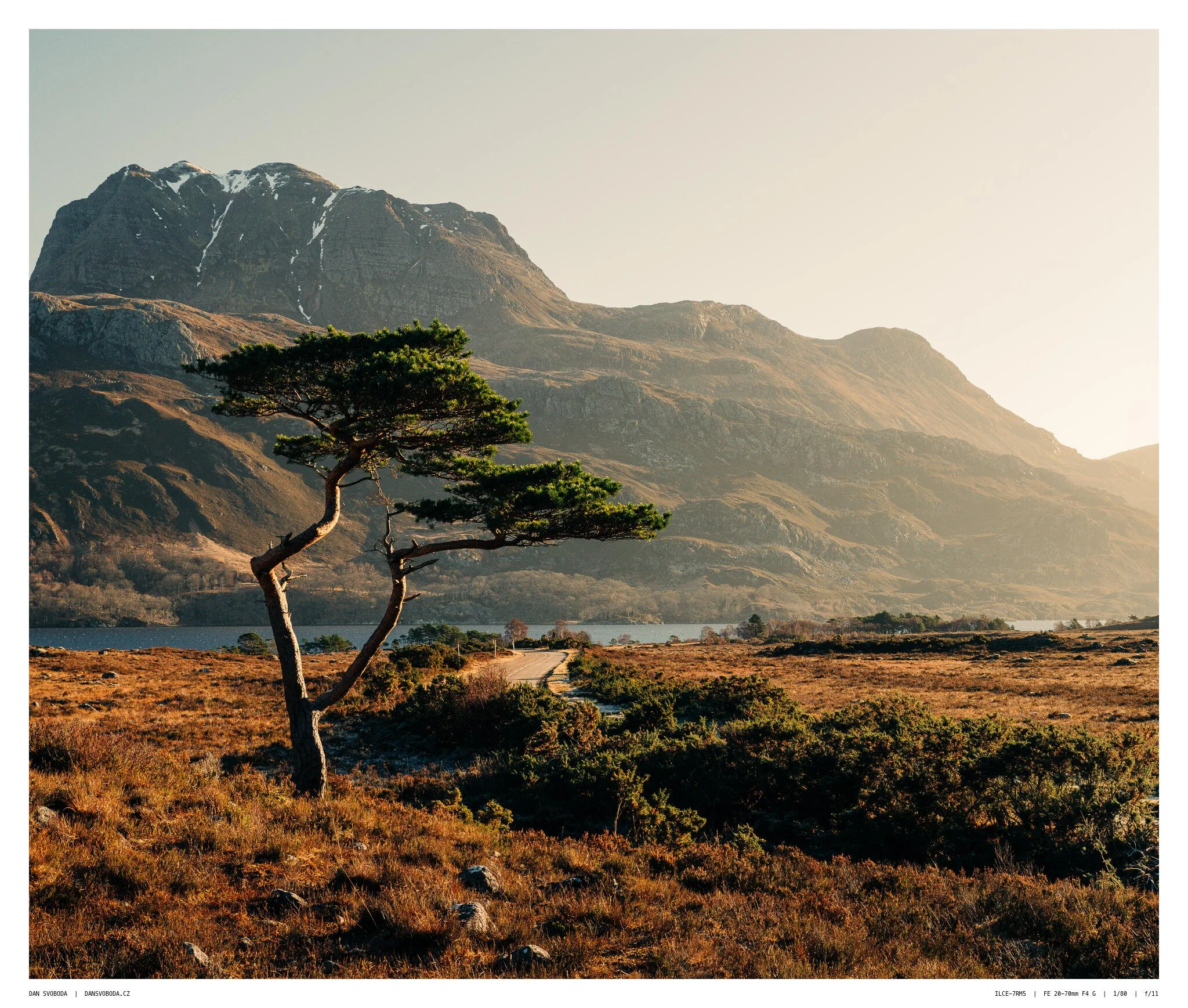 _7R58330White Frame.jpg