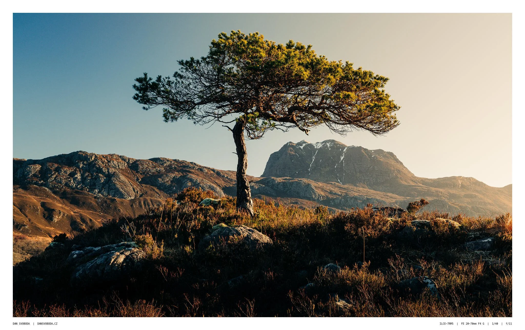 _7R58337White Frame.jpg