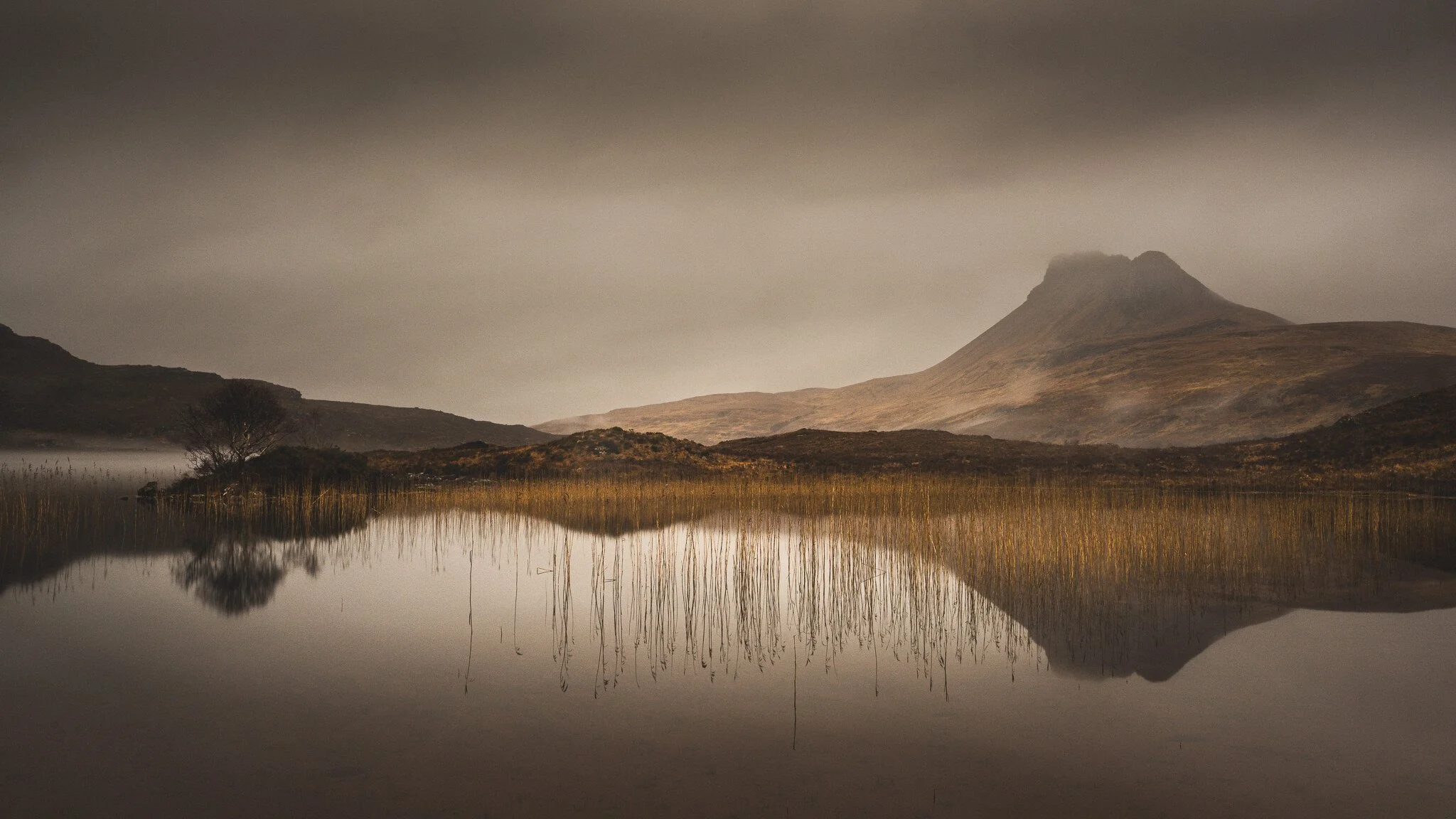 _7R57845White Frame.jpg