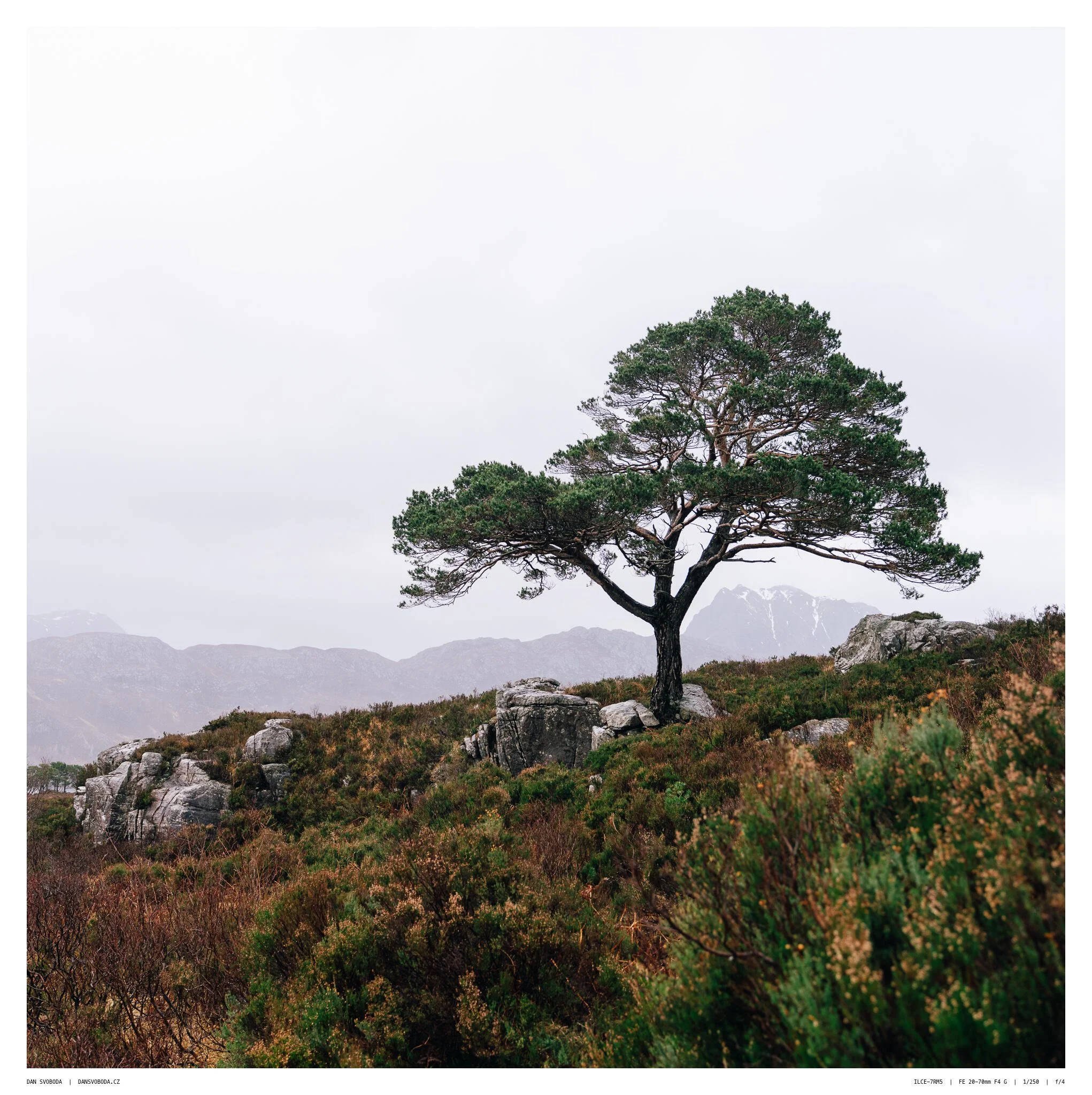 _7R57901White Frame.jpg