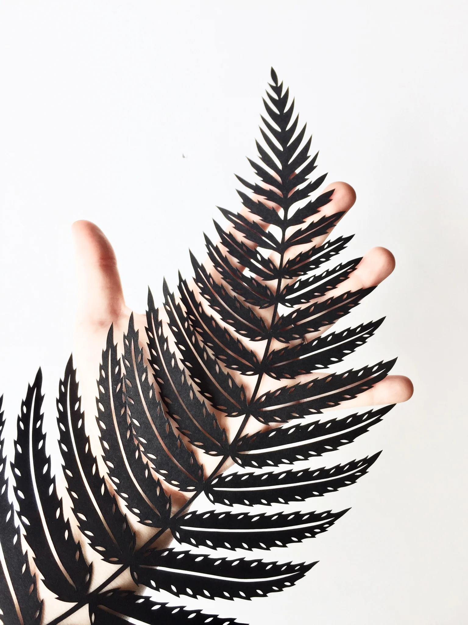 Fern paper cut