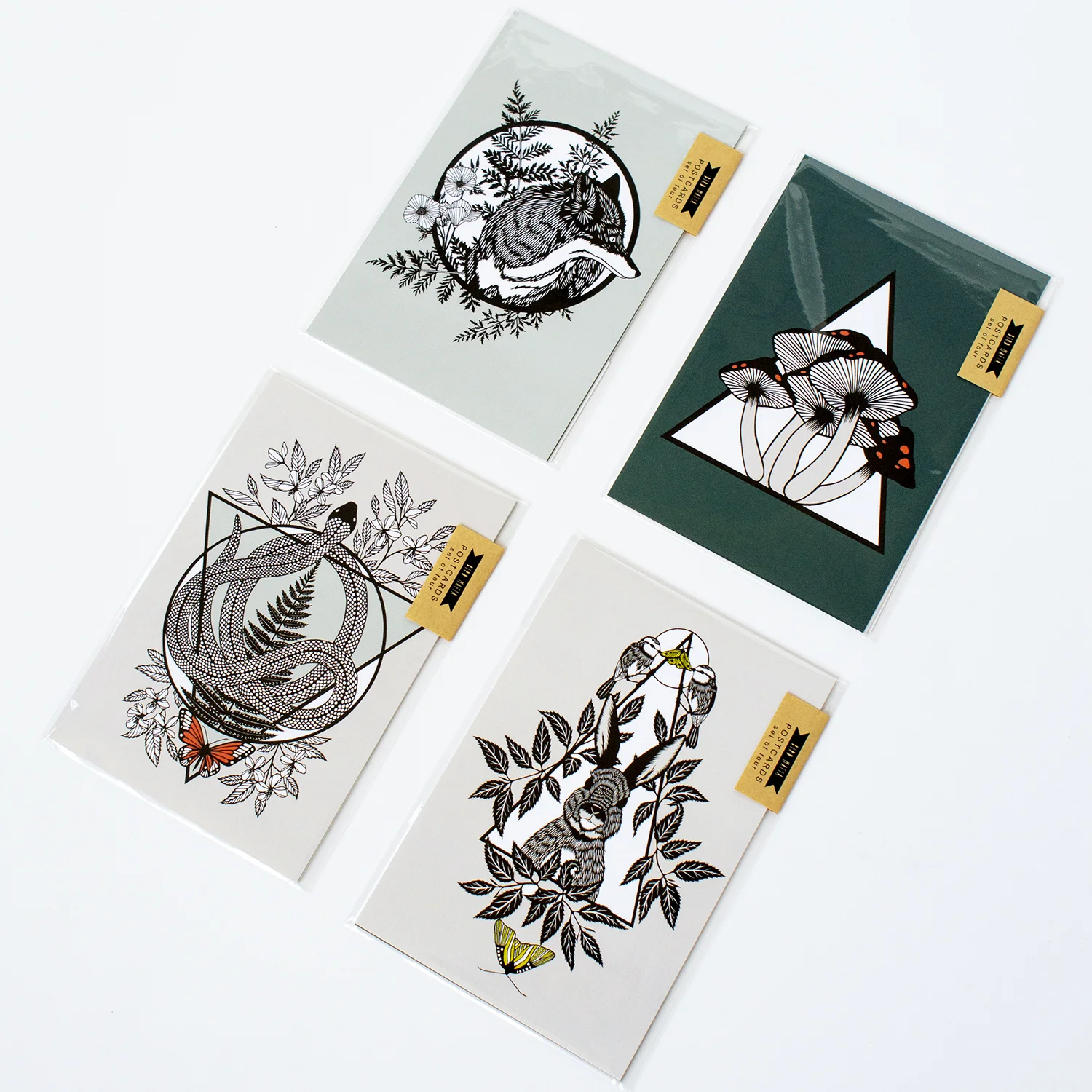 bird mafia postcard collection - packaged