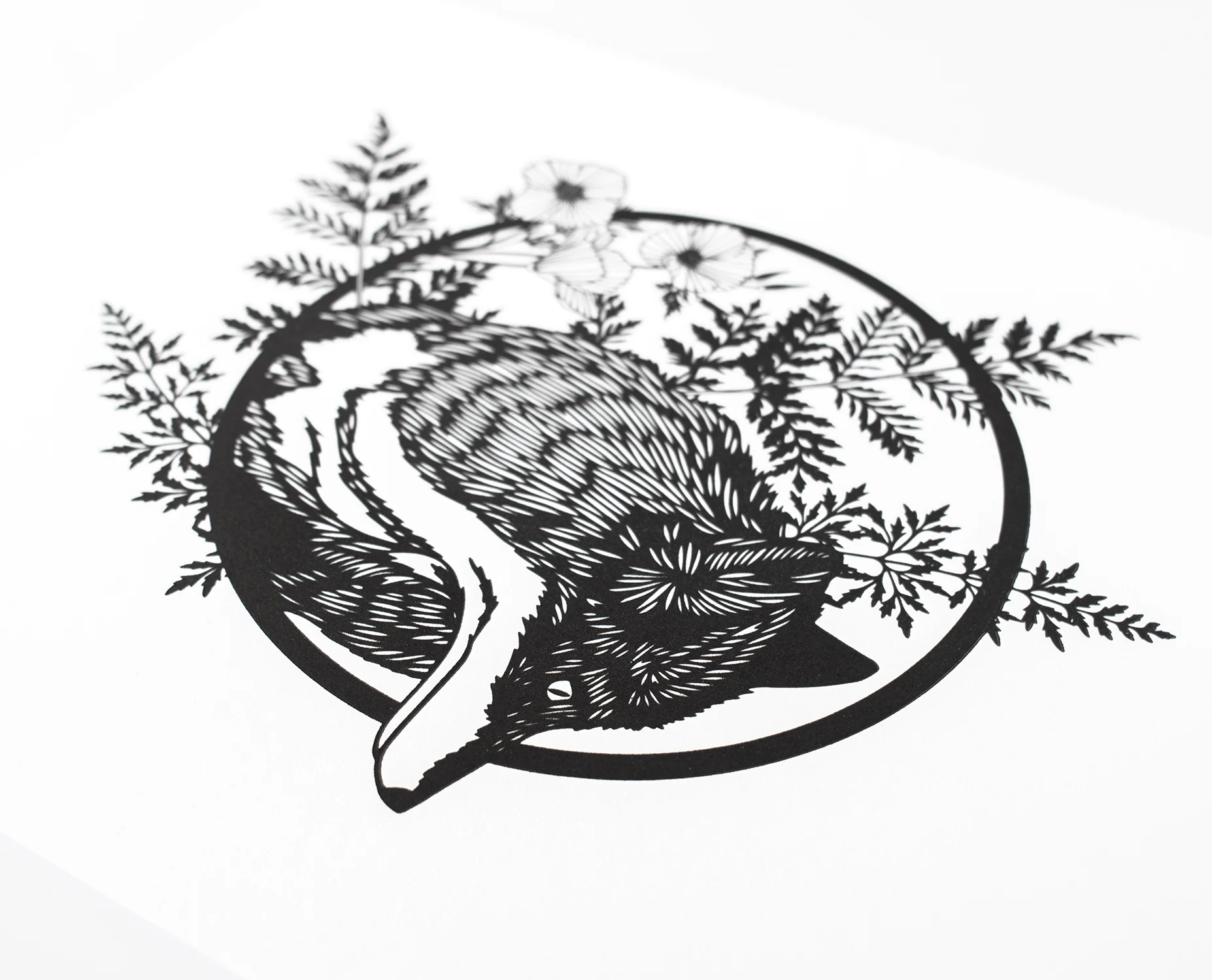 LP_foxandferns_angle2SM.jpg
