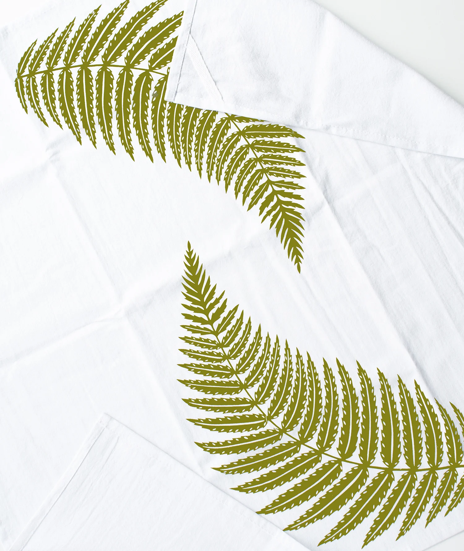 T043_fern_open1500.jpg