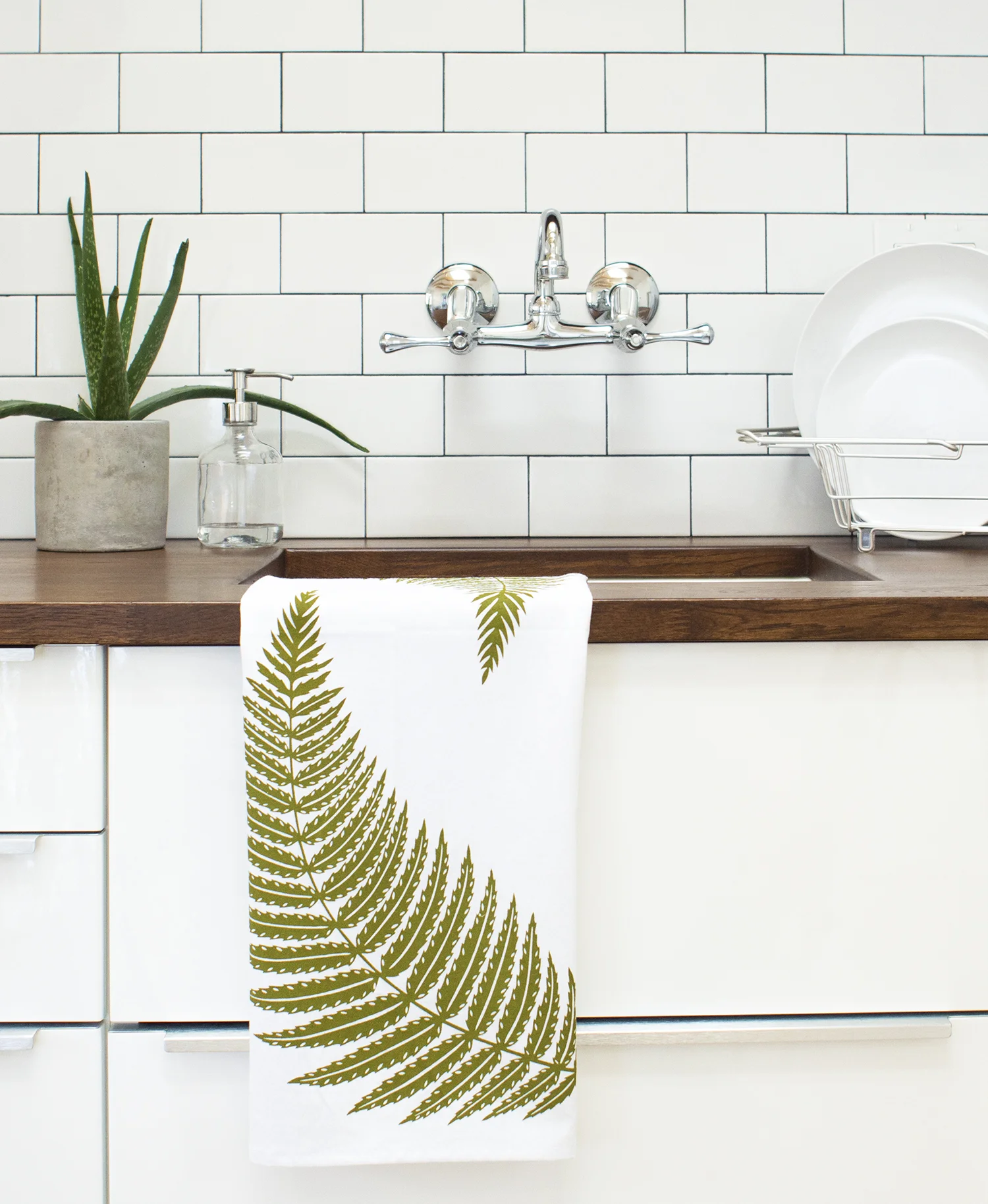 T043_fern_lifestyle2.jpg