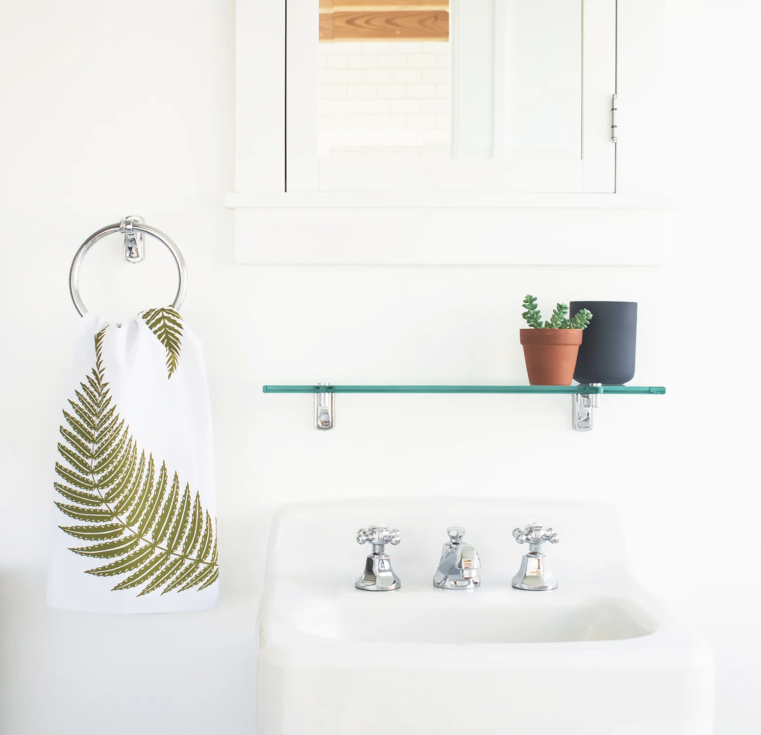 T043_fern_lifestyle1.jpg