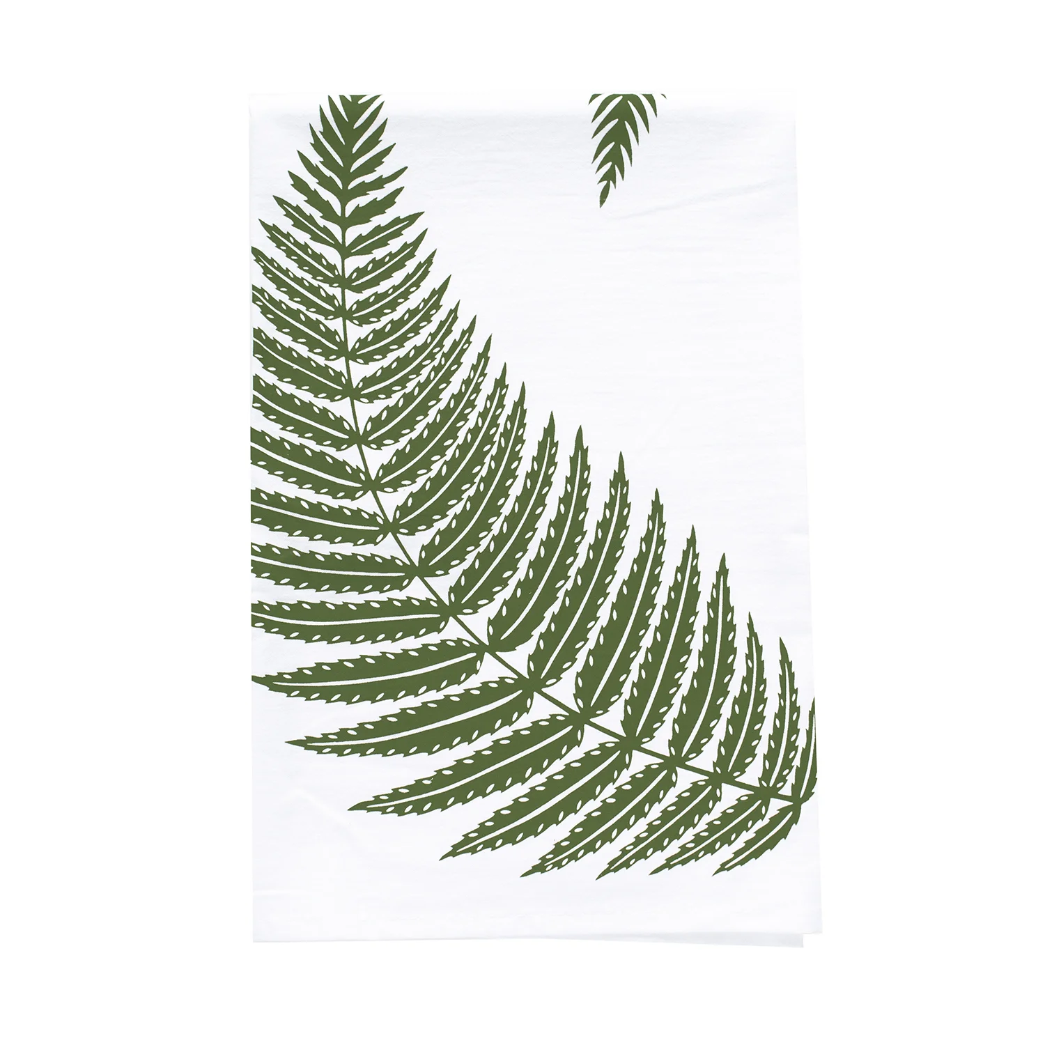 T043_fern_FRT_1500.jpg