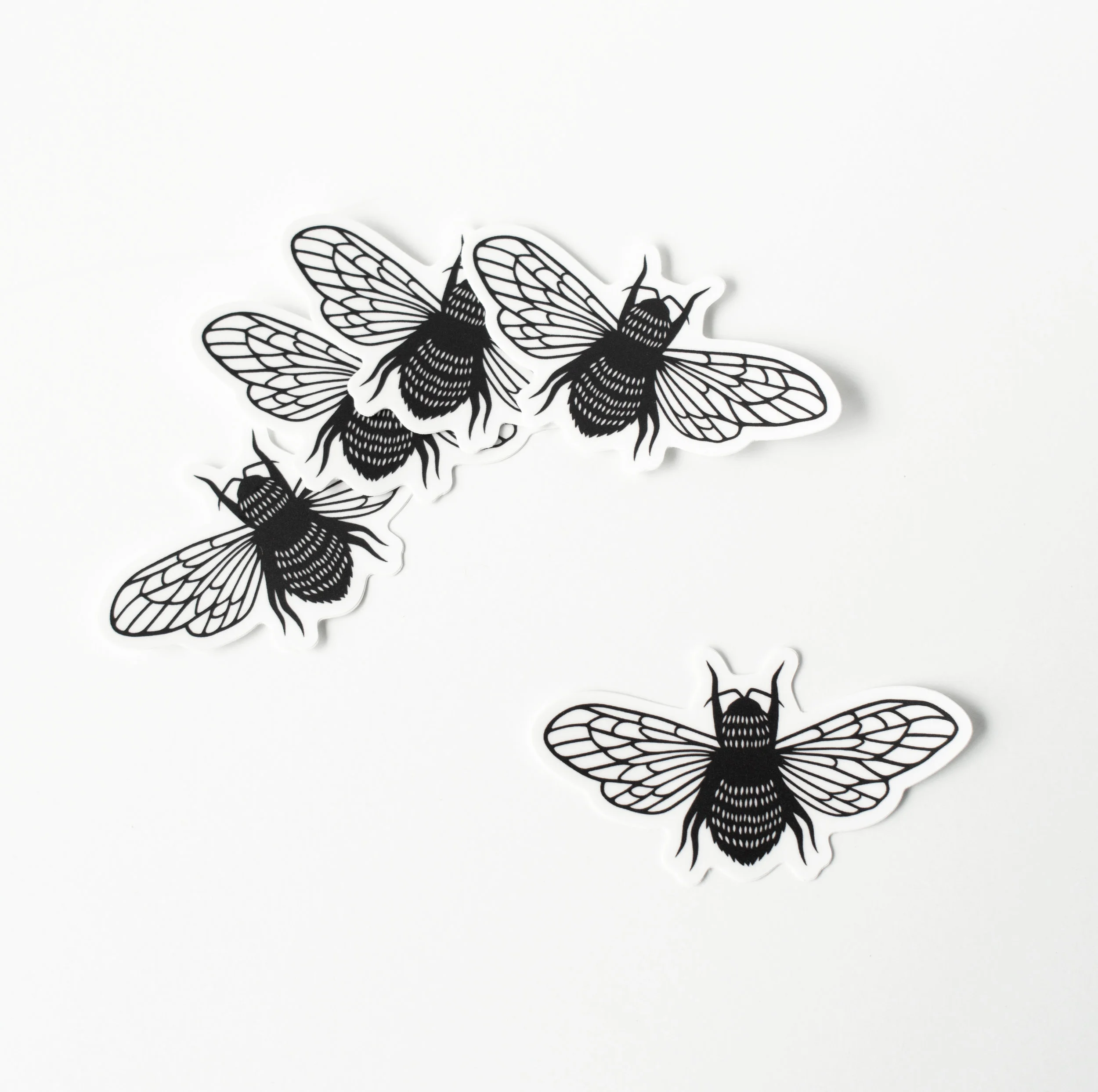 ST001_bee1.jpg