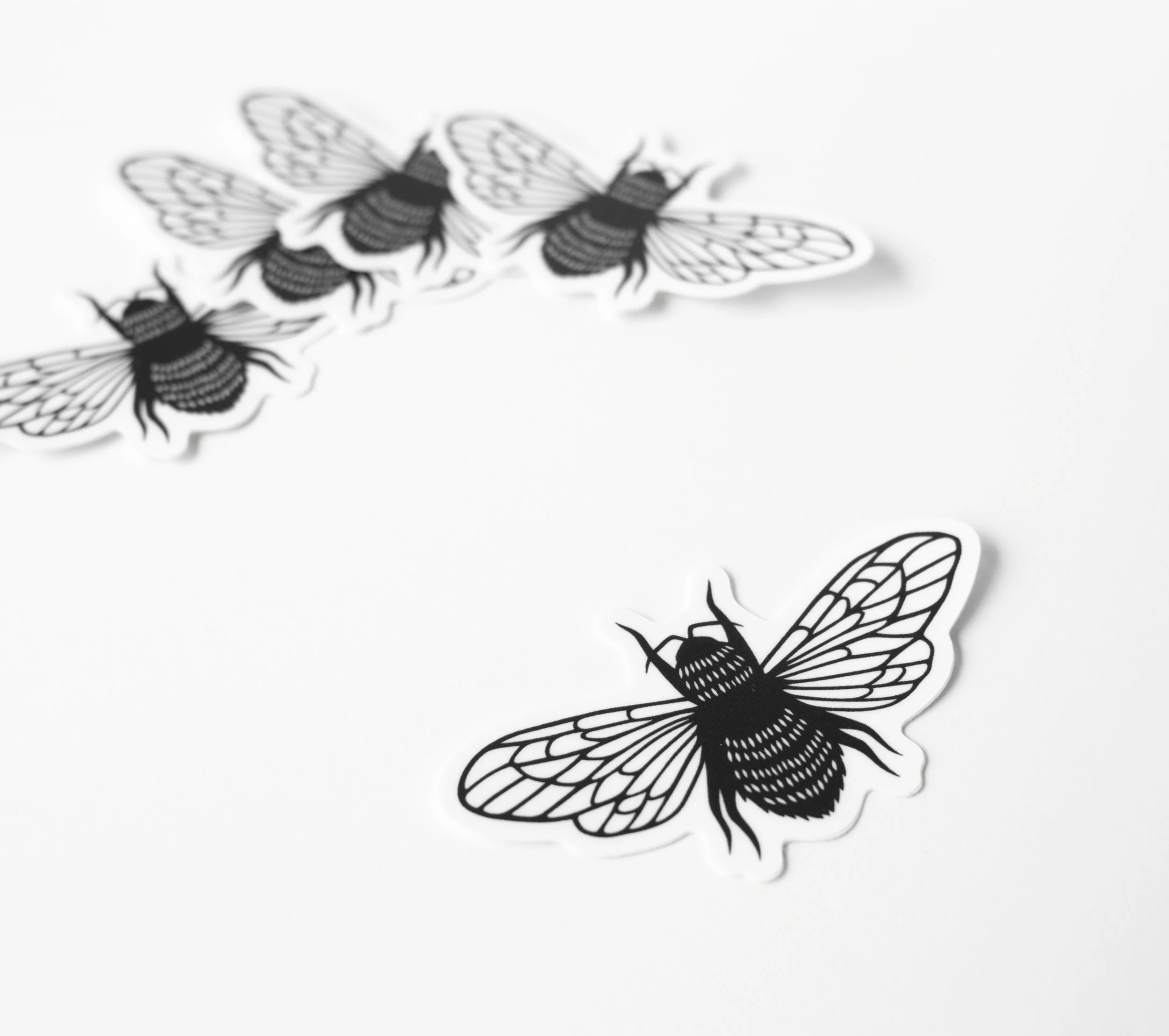 ST001_bee3.jpg
