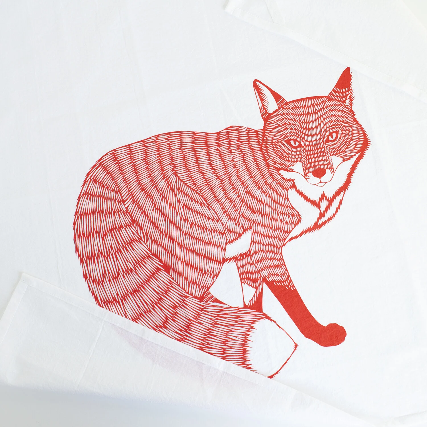 T064_fox2_open_1500.jpg
