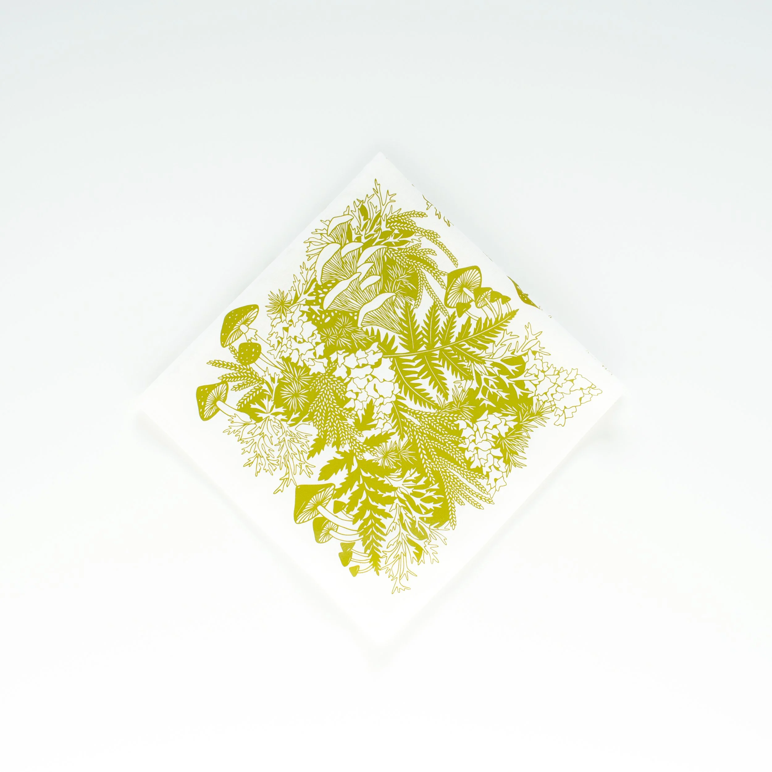 BANDANA regrow MOSS.jpg